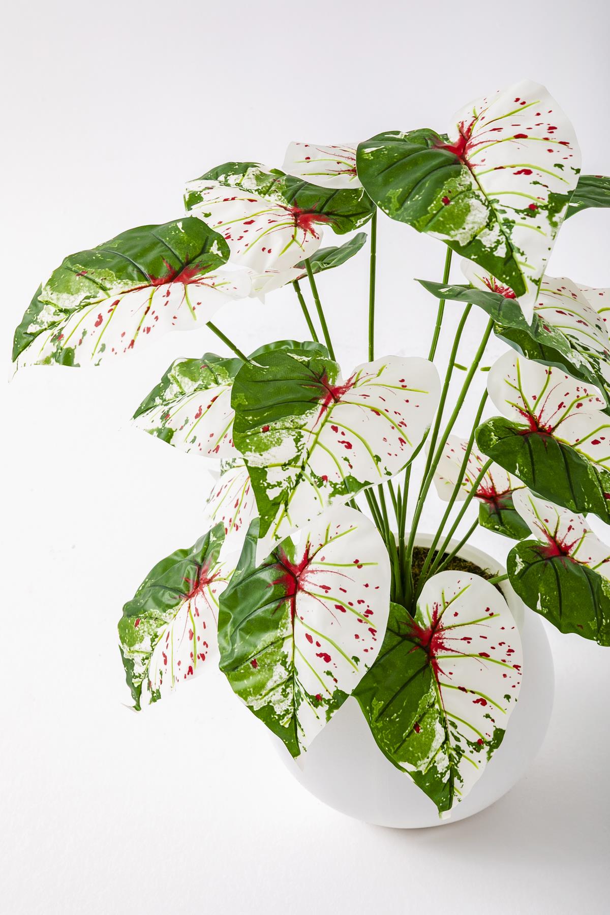 Yapay Salon Köşe Çiçeği Devetabanı Yeşil Pembe 65 Cm Küre Saksı