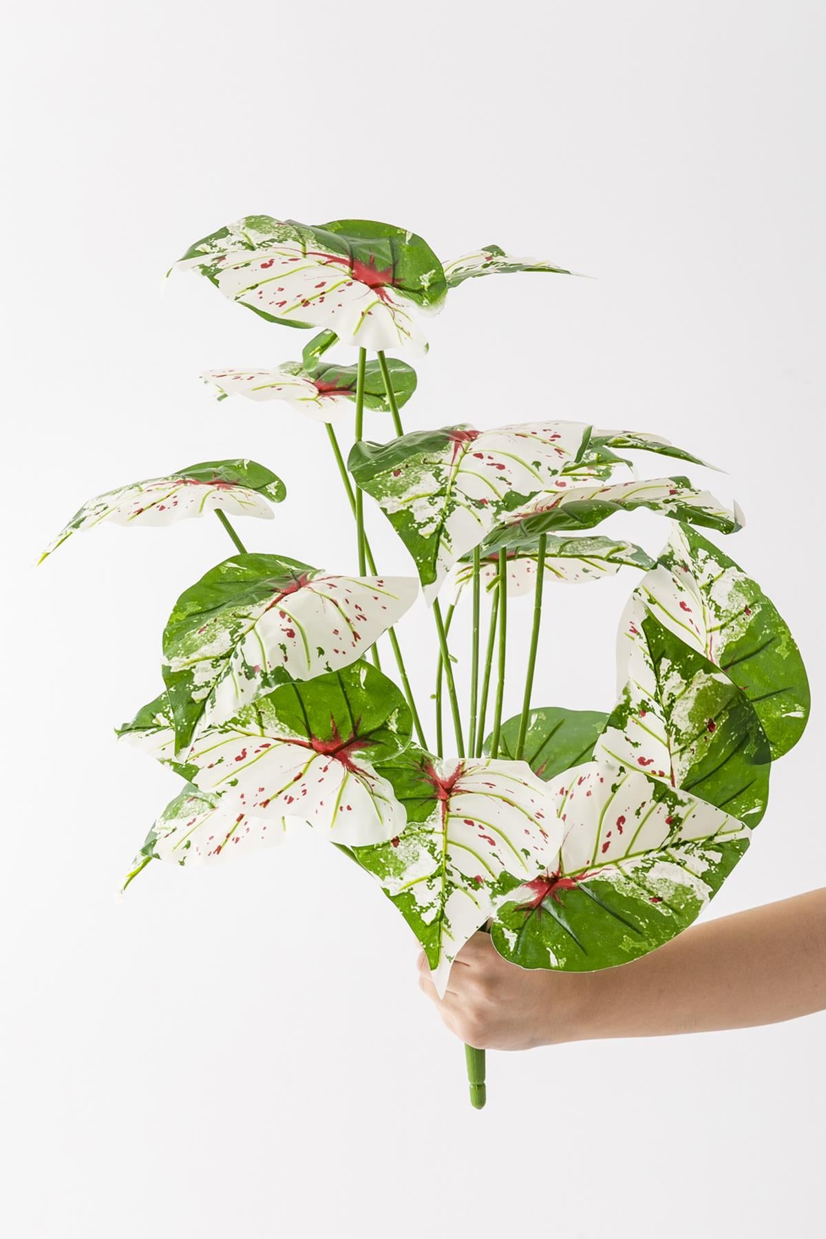 Yapay Salon Köşe Çiçeği Devetabanı Yeşil Pembe 65 Cm Saksısız