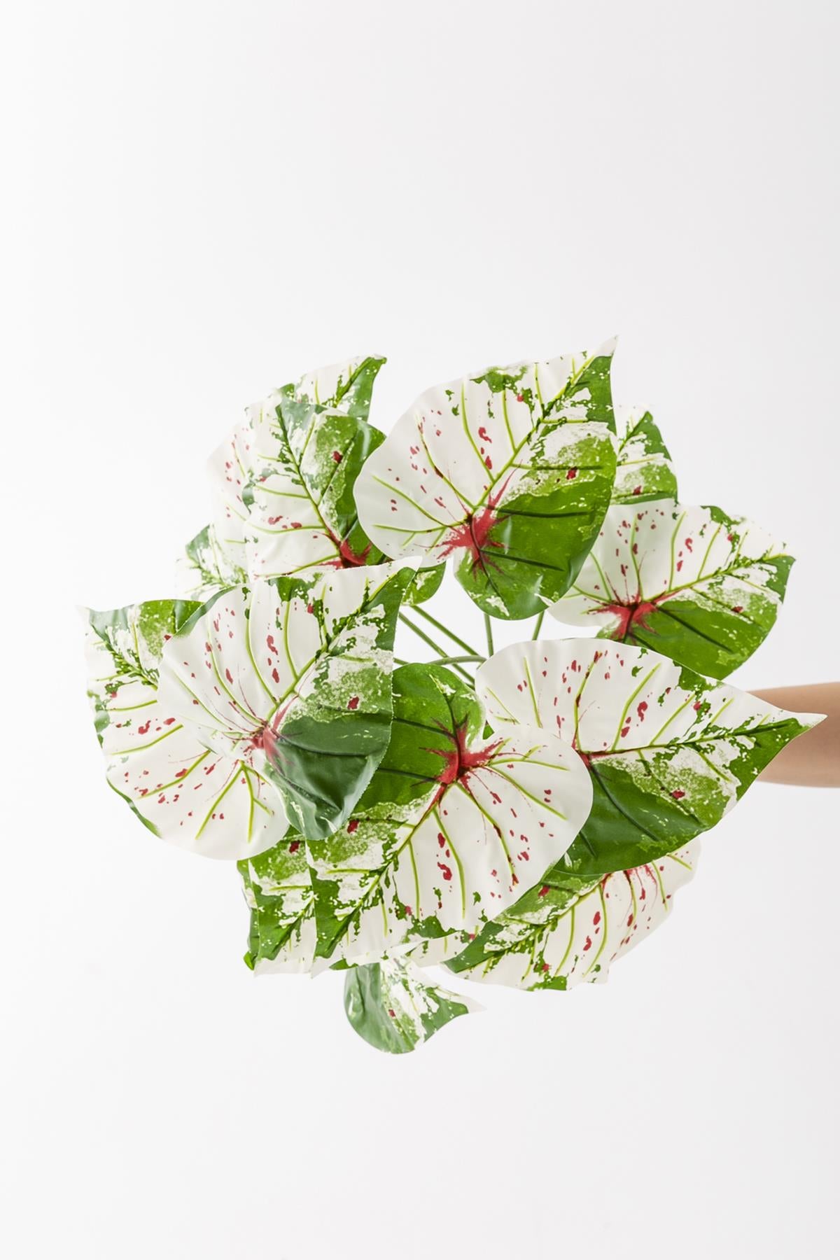 Yapay Salon Köşe Çiçeği Devetabanı Yeşil Pembe 65 Cm Saksısız