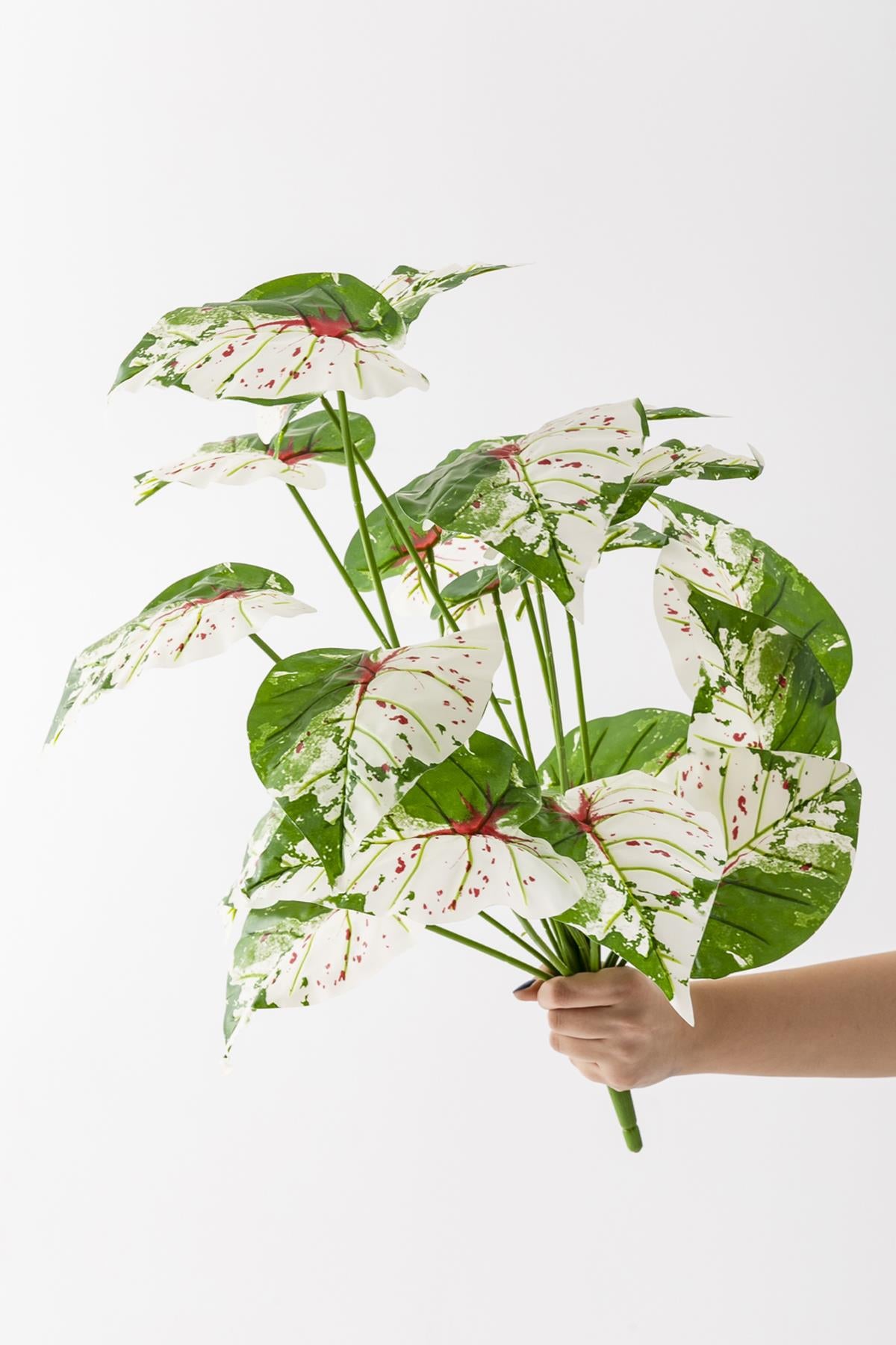 Yapay Salon Köşe Çiçeği Devetabanı Yeşil Pembe 65 Cm Saksısız