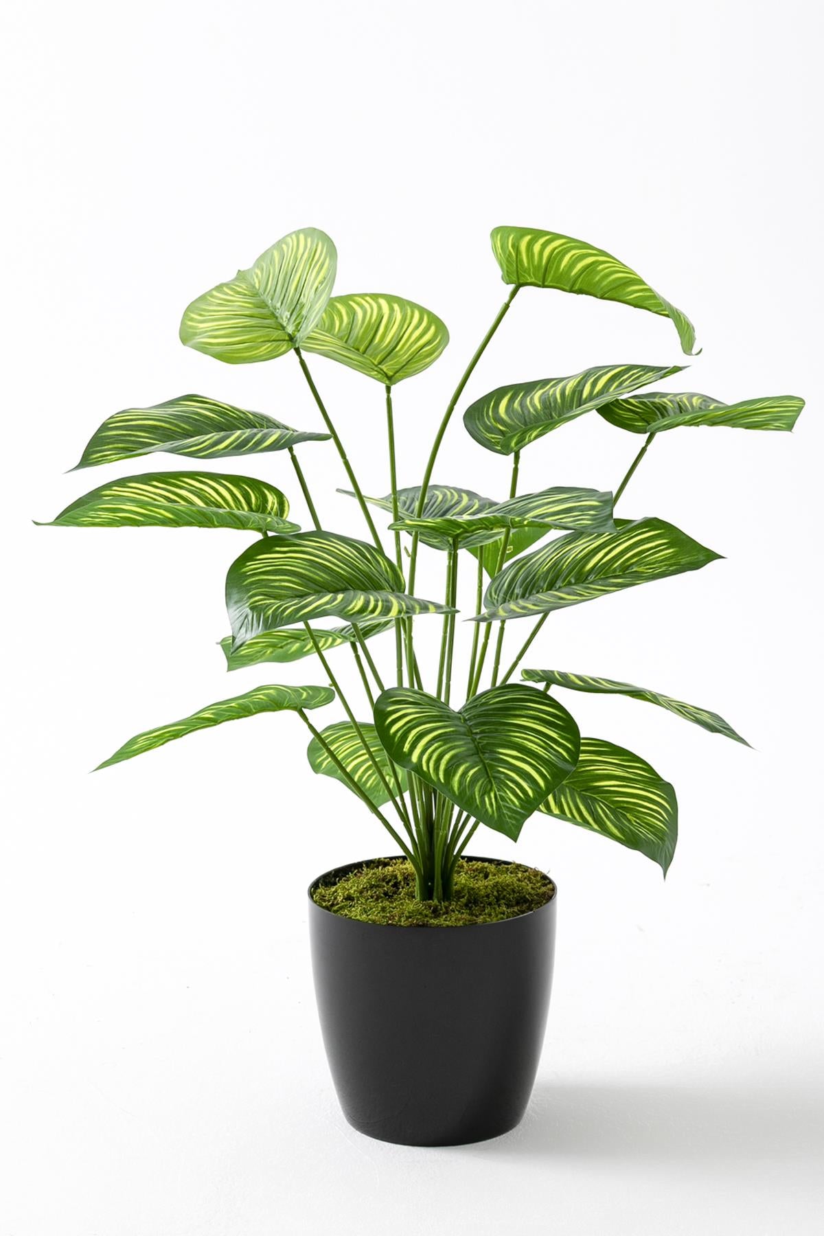 Yapay Salon Köşe Çiçeği Devetabanı Yeşil Sarı 65 Cm