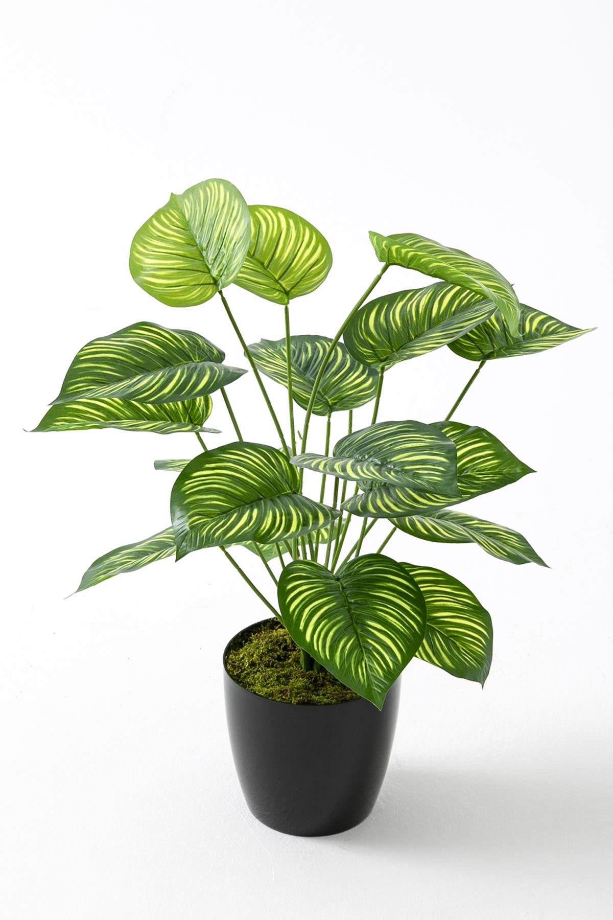 Yapay Salon Köşe Çiçeği Devetabanı Yeşil Sarı 65 Cm