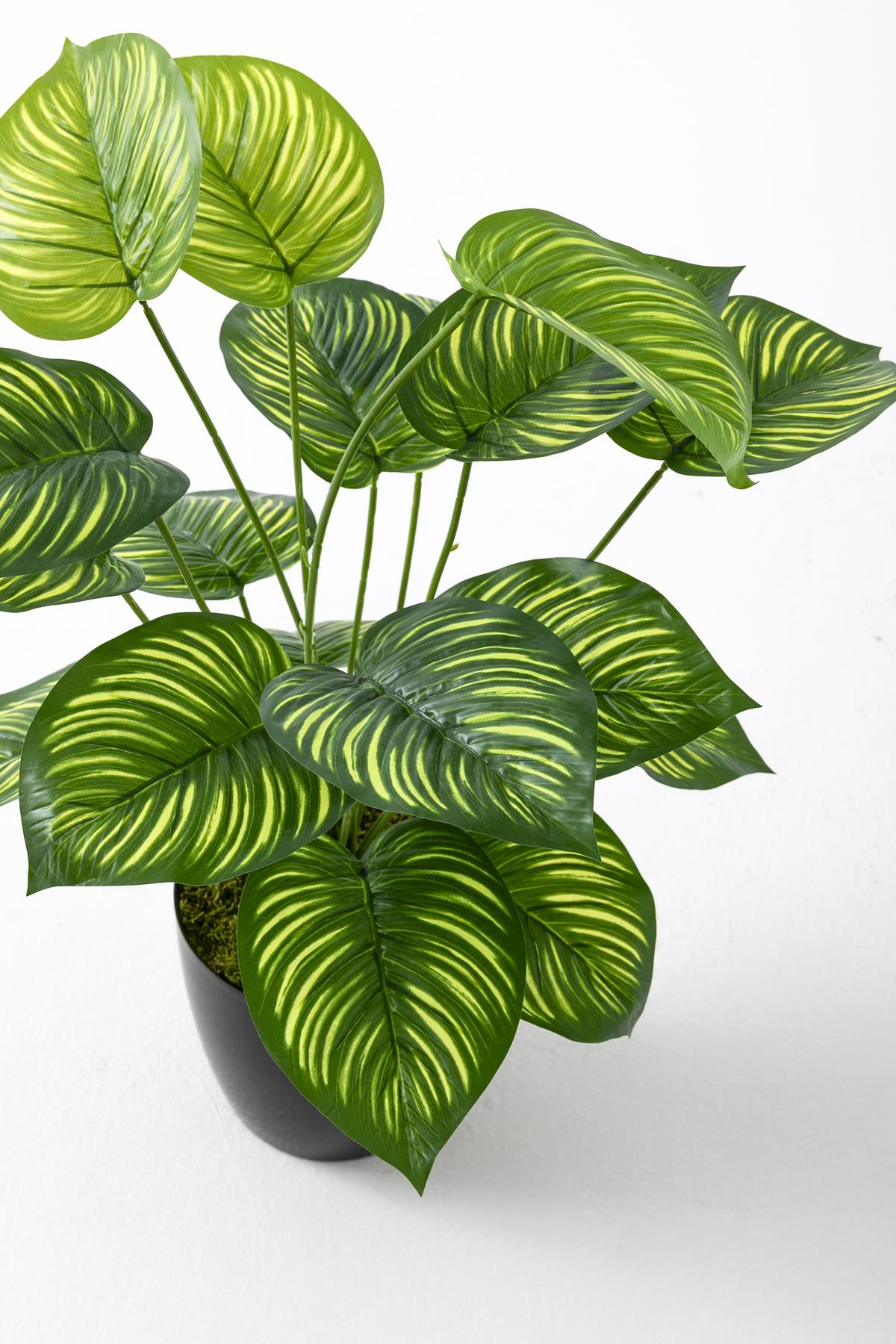 Yapay Salon Köşe Çiçeği Devetabanı Yeşil Sarı 65 Cm