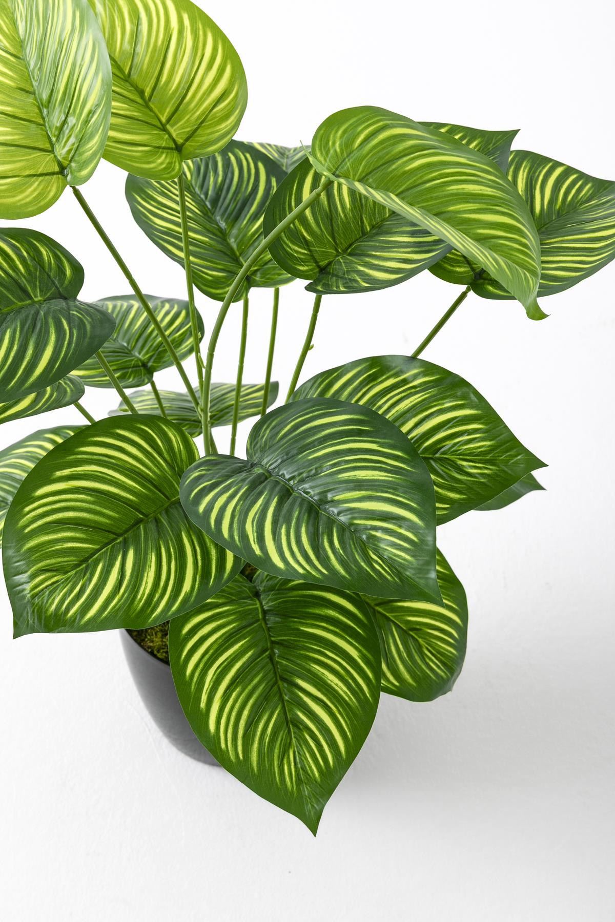 Yapay Salon Köşe Çiçeği Devetabanı Yeşil Sarı 65 Cm