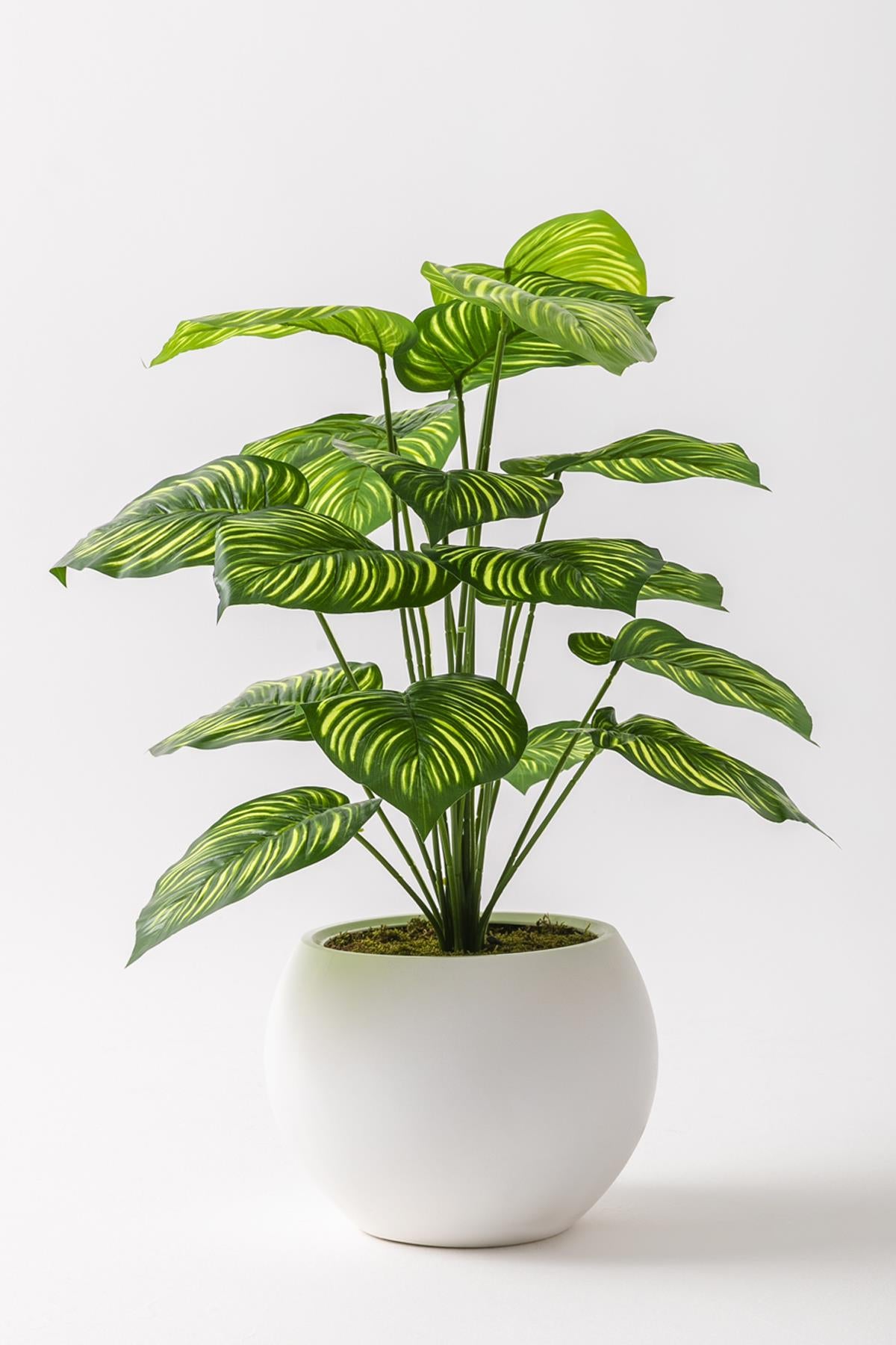 Yapay Salon Köşe Çiçeği Devetabanı Yeşil Sarı 65 Cm Küre Plastik