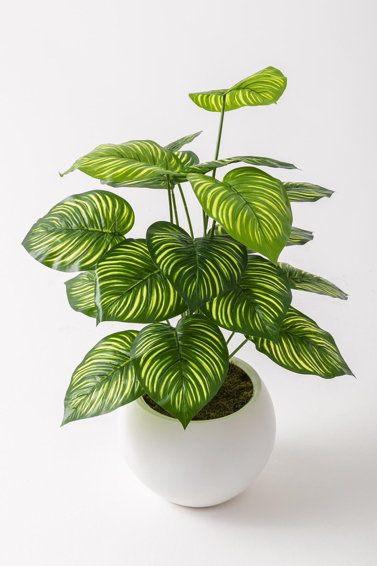 Yapay Salon Köşe Çiçeği Devetabanı Yeşil Sarı 65 Cm Küre Plastik