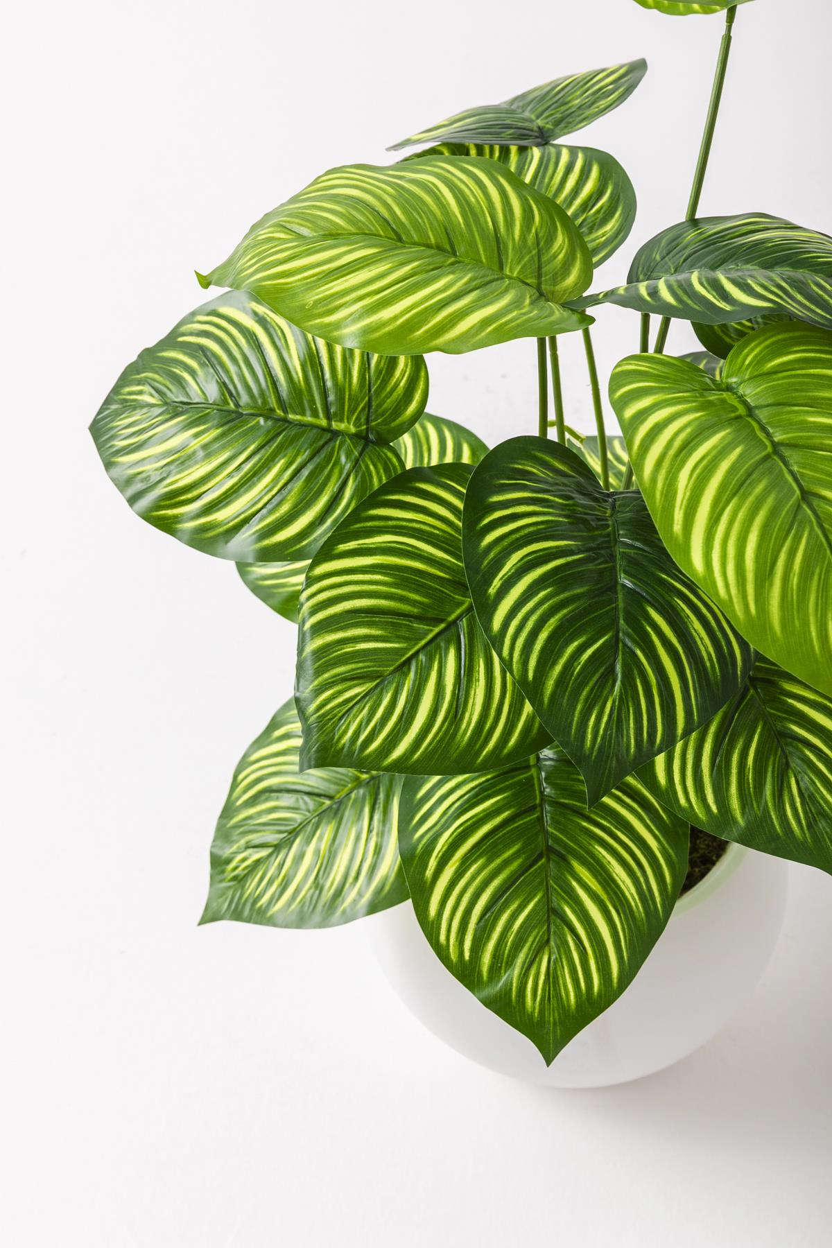 Yapay Salon Köşe Çiçeği Devetabanı Yeşil Sarı 65 Cm Küre Plastik