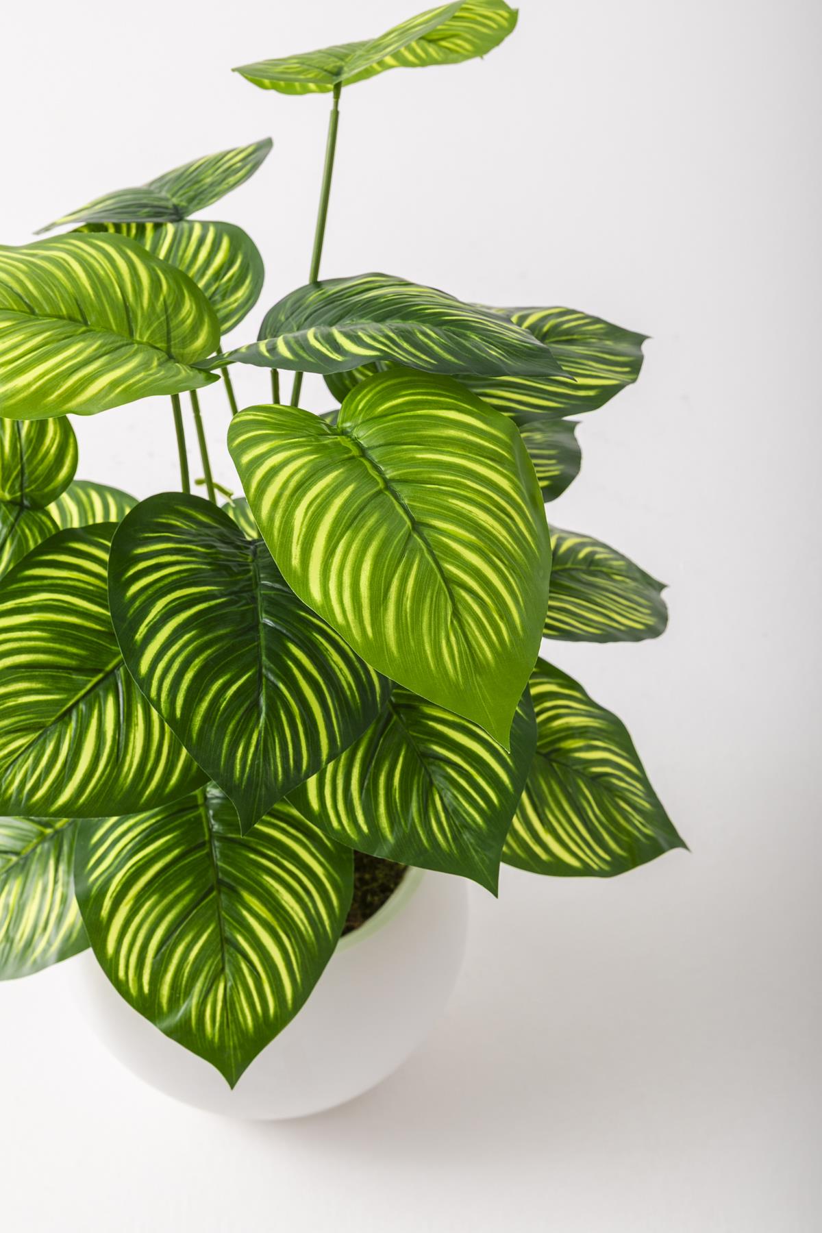 Yapay Salon Köşe Çiçeği Devetabanı Yeşil Sarı 65 Cm Küre Plastik