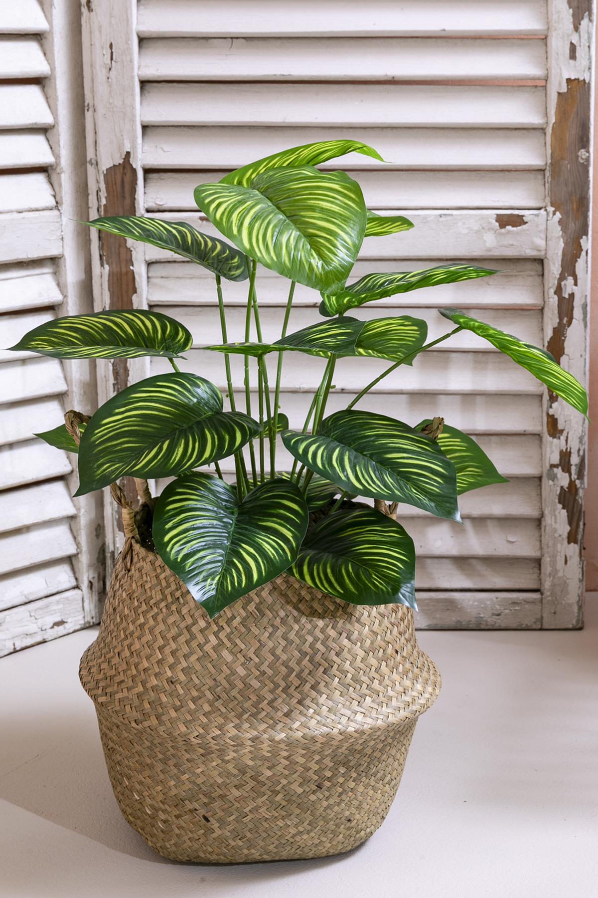 Yapay Salon Köşe Çiçeği Devetabanı Yeşil Sarı 65 Cm Saksısız