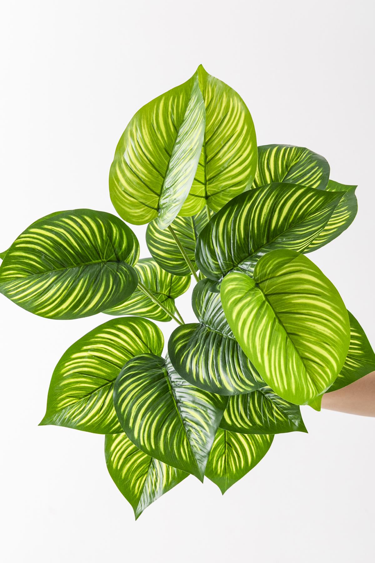 Yapay Salon Köşe Çiçeği Devetabanı Yeşil Sarı 65 Cm Saksısız