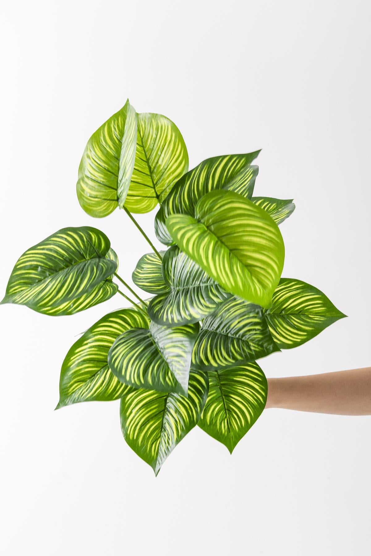 Yapay Salon Köşe Çiçeği Devetabanı Yeşil Sarı 65 Cm Saksısız