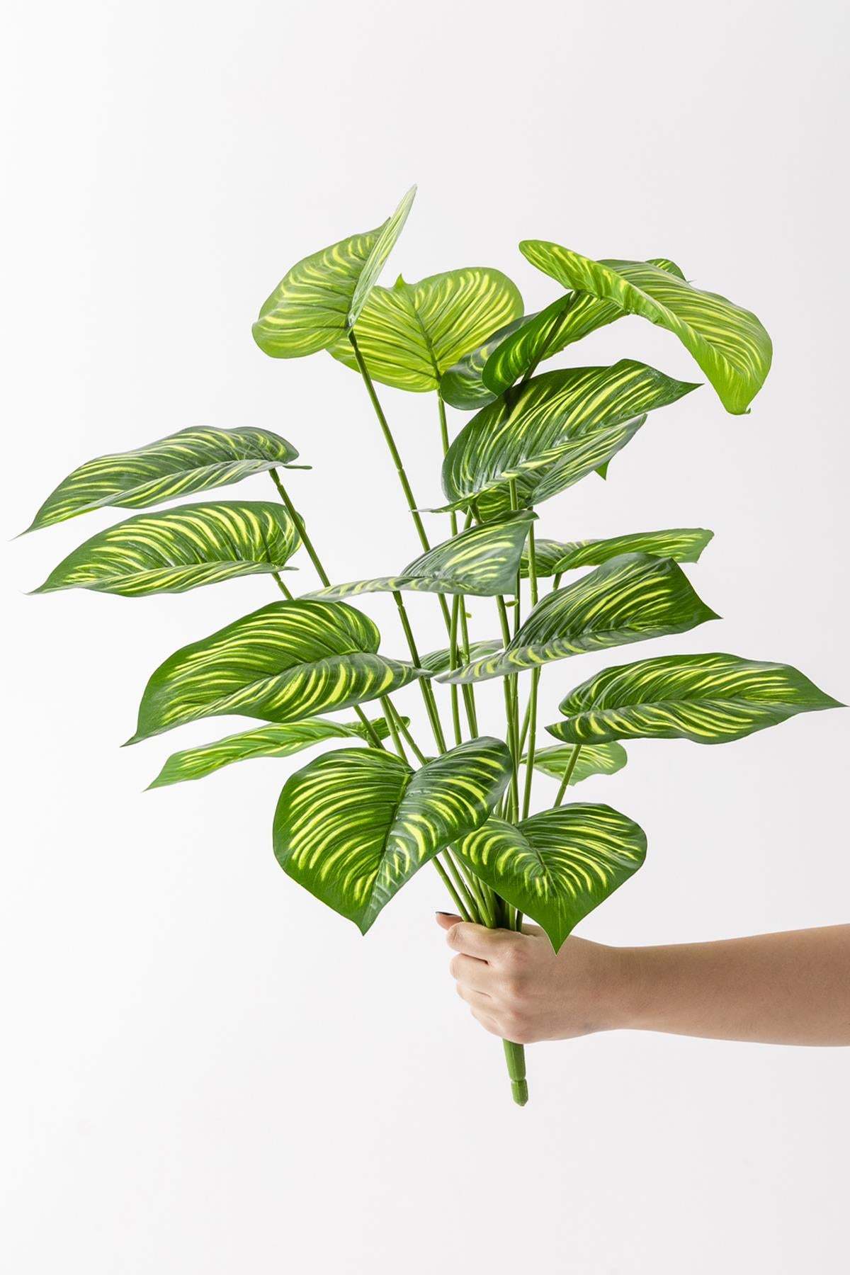 Yapay Salon Köşe Çiçeği Devetabanı Yeşil Sarı 65 Cm Saksısız