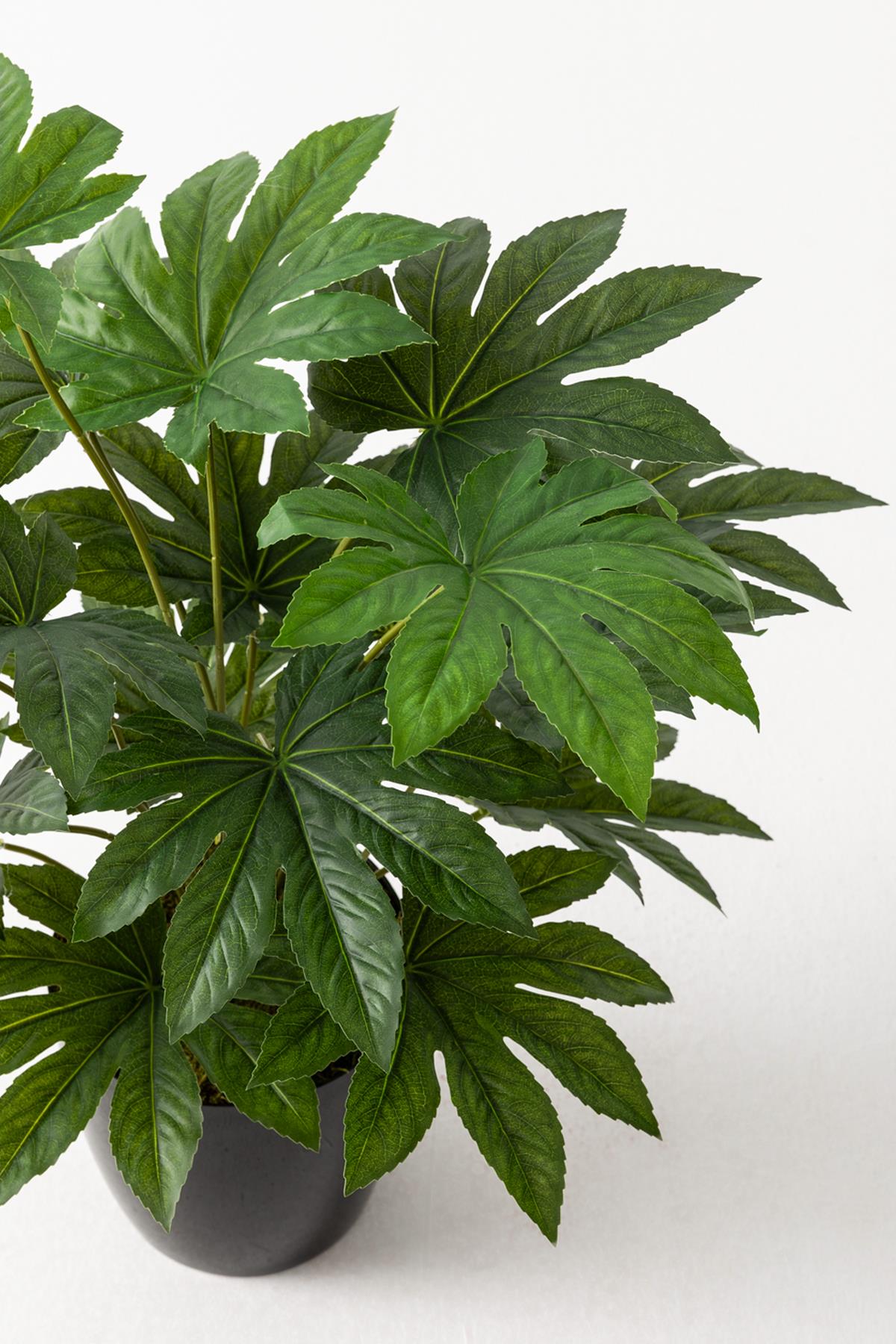 Yapay Salon Köşe Çiçeği Japon Çınar 80 Cm