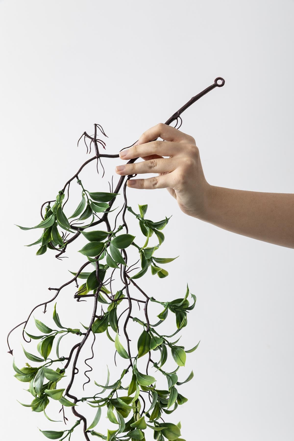 Yapay Sarmaşık Çay (Uv) Korumalı Yeşil 75 Cm 5 Dal (Uv)