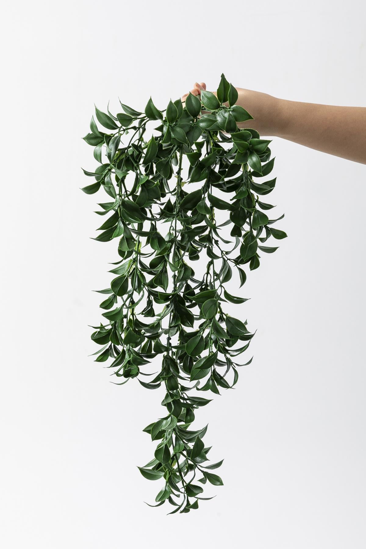 Yapay Sarmaşık Çay (Uv) Korumalı Koyu Yeşil 75 Cm 5 Dal (Uv)