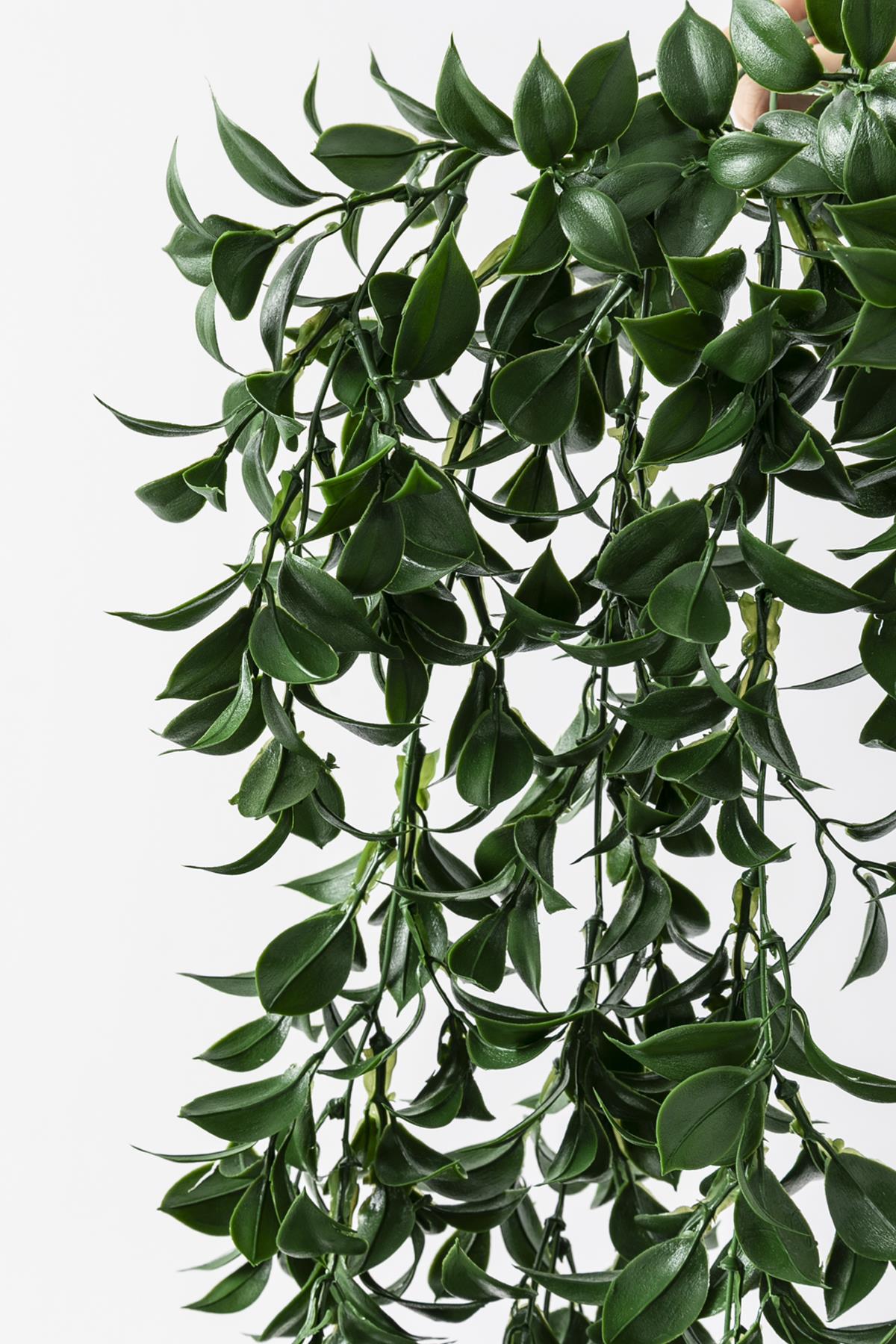 Yapay Sarmaşık Çay (Uv) Korumalı Koyu Yeşil 75 Cm 5 Dal (Uv)