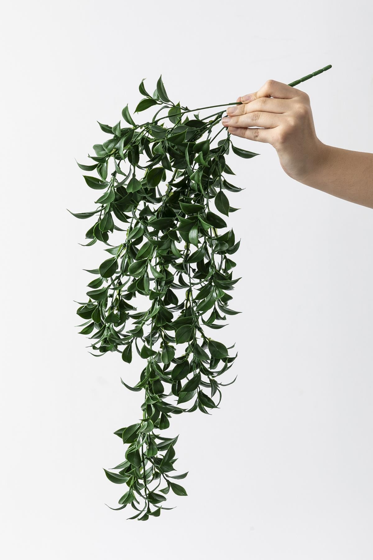 Yapay Sarmaşık Çay (Uv) Korumalı Koyu Yeşil 75 Cm 5 Dal (Uv)