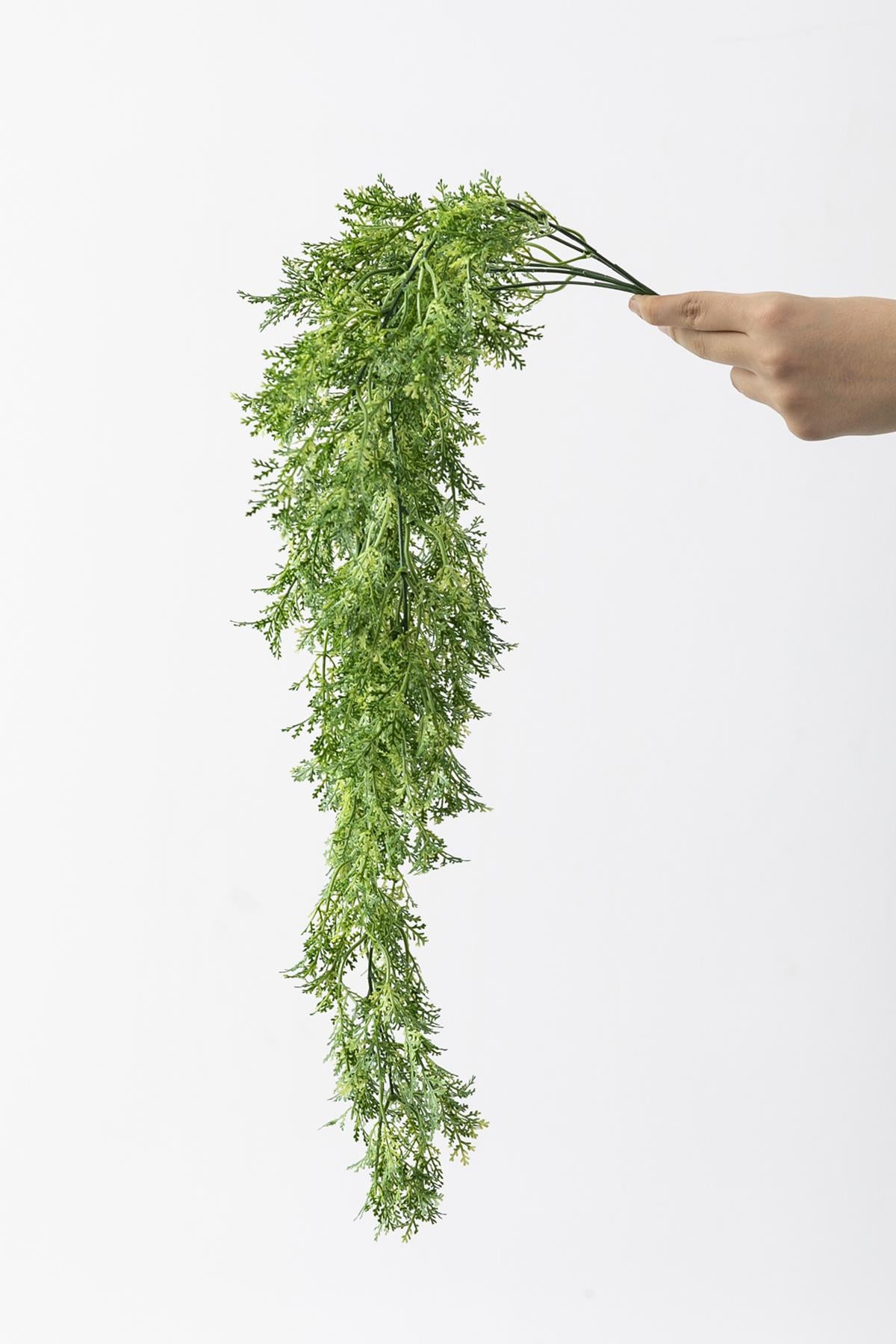 Yapay Sarmaşık Kuşkonmaz (Uv) Korumalı Açık Yeşil 75 Cm 5 Dal (Uv)