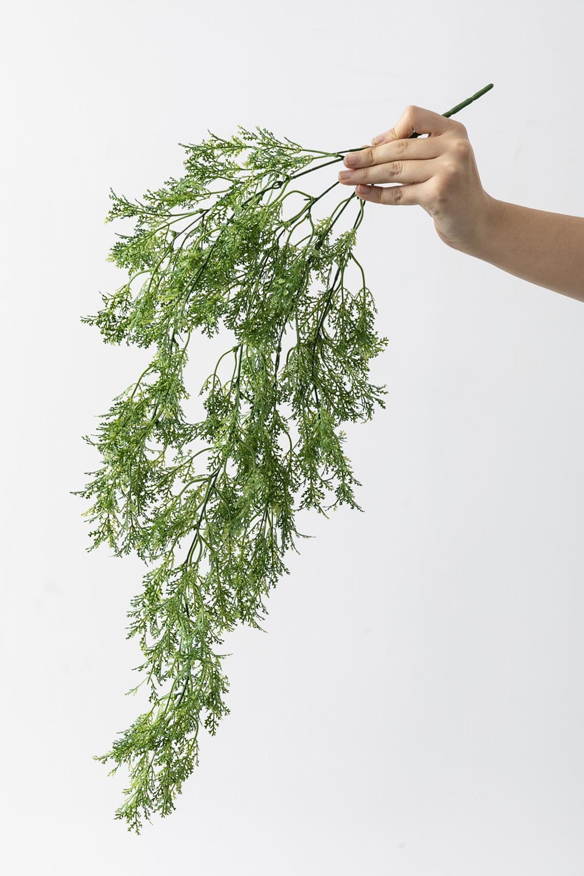 Yapay Sarmaşık Kuşkonmaz Uv Korumalı Açık Yeşil 75 Cm 5 Dal