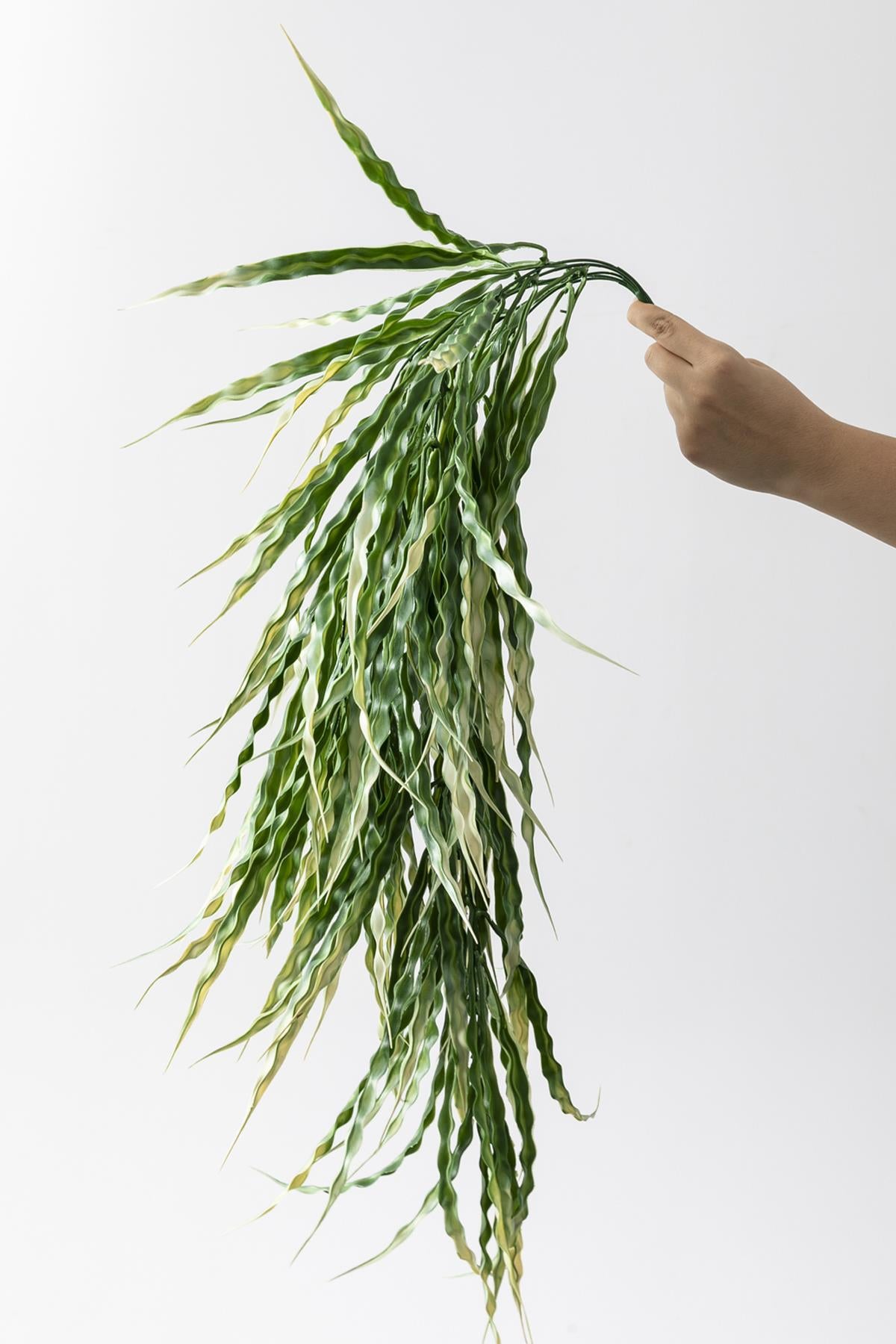 Yapay Sarmaşık Sazlık Yeşil Krem 90 Cm 5 Dal