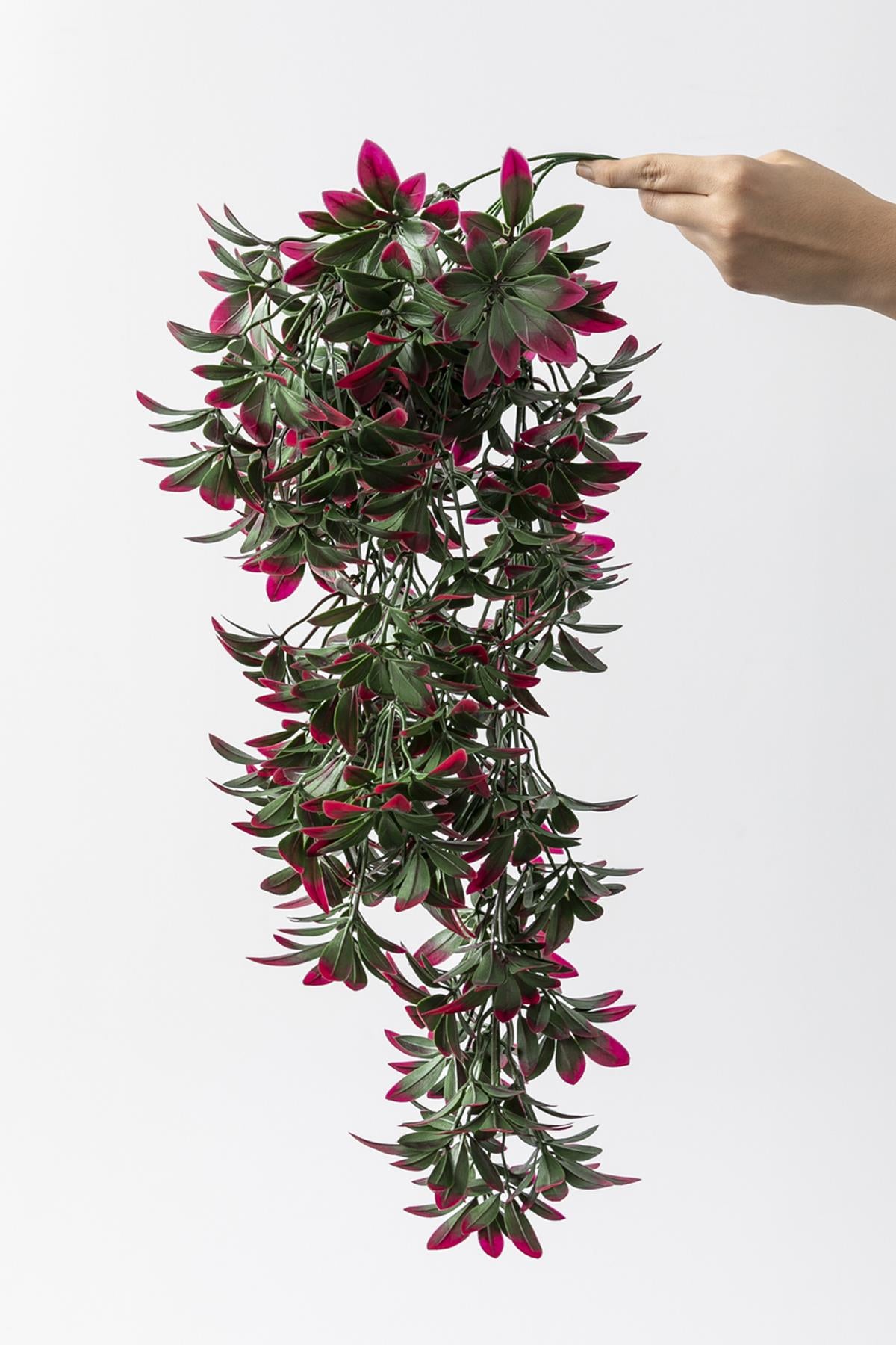 Yapay Sarmaşık Şeflore Uv Korumalı Yeşil Pembe 80 Cm 5 Dal