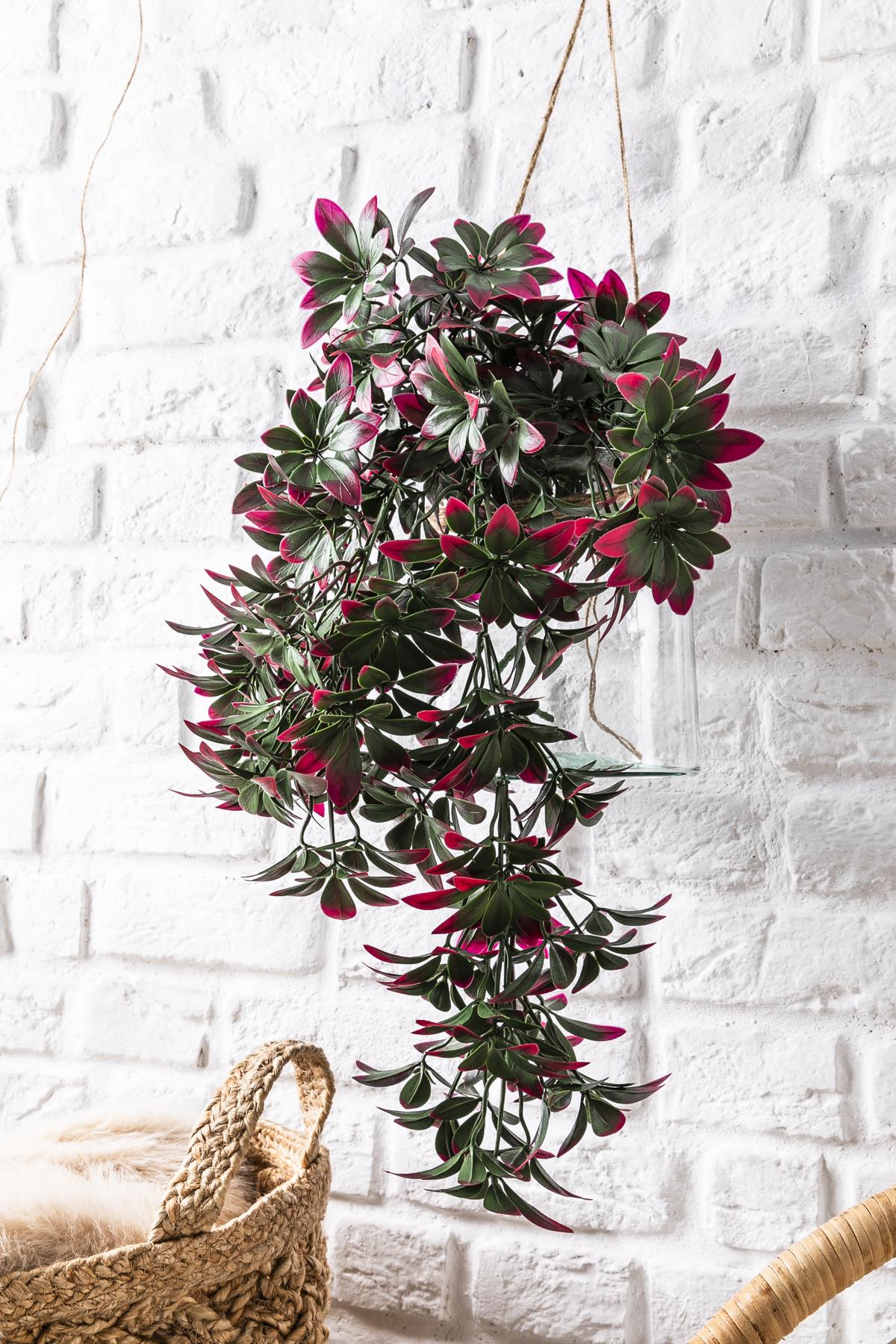 Yapay Sarmaşık Şeflore (Uv) Korumalı Yeşil Pembe 80 Cm 5 Dal (Uv)