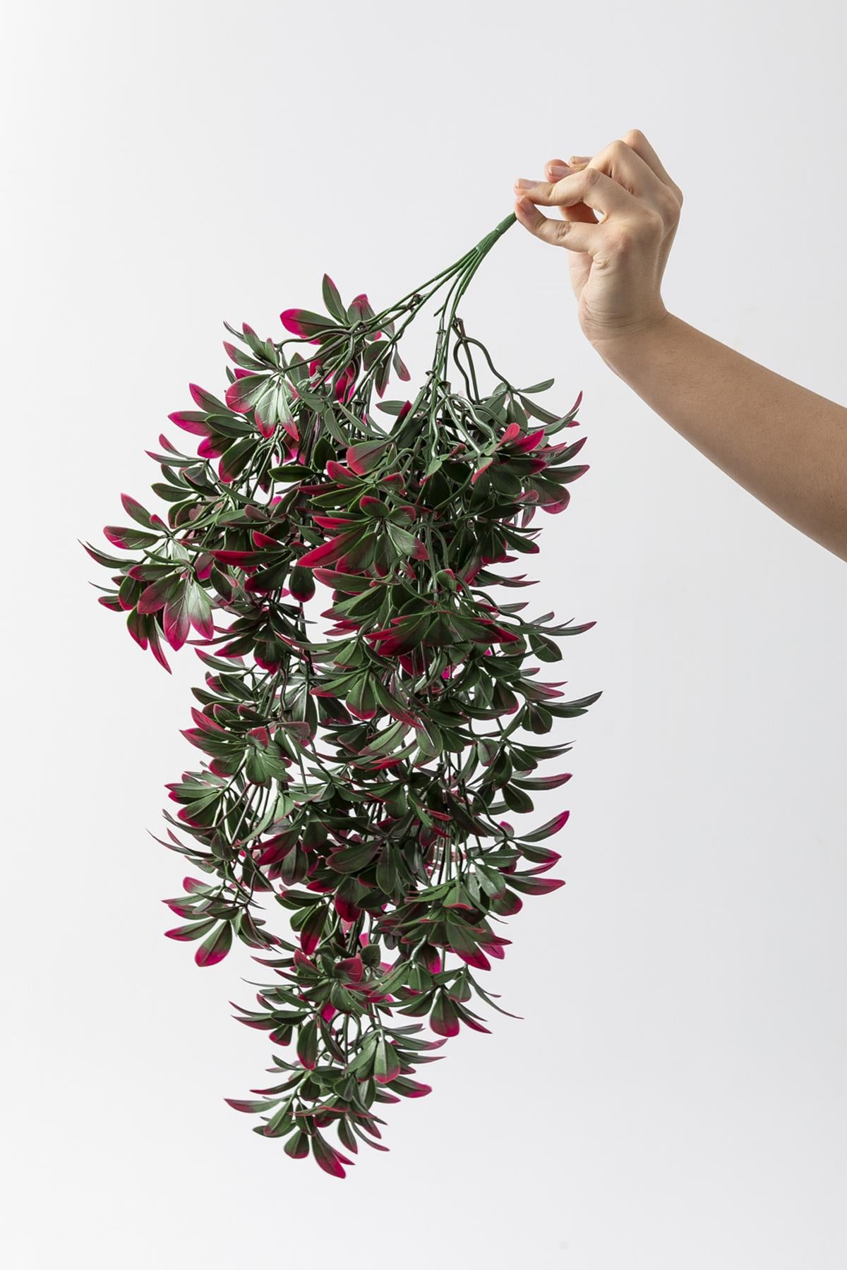 Yapay Sarmaşık Şeflore (Uv) Korumalı Yeşil Pembe 80 Cm 5 Dal (Uv)