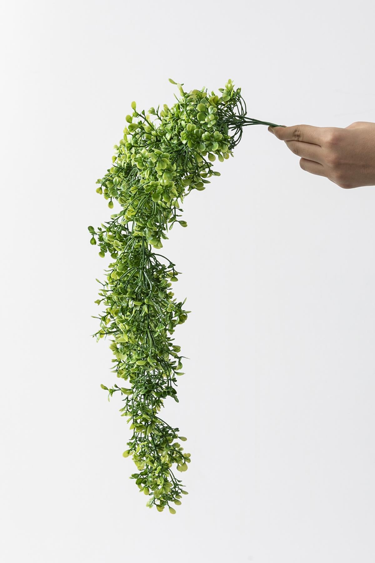 Yapay Şimşir Sarmaşık 75 Cm 5 Dal (Uv)