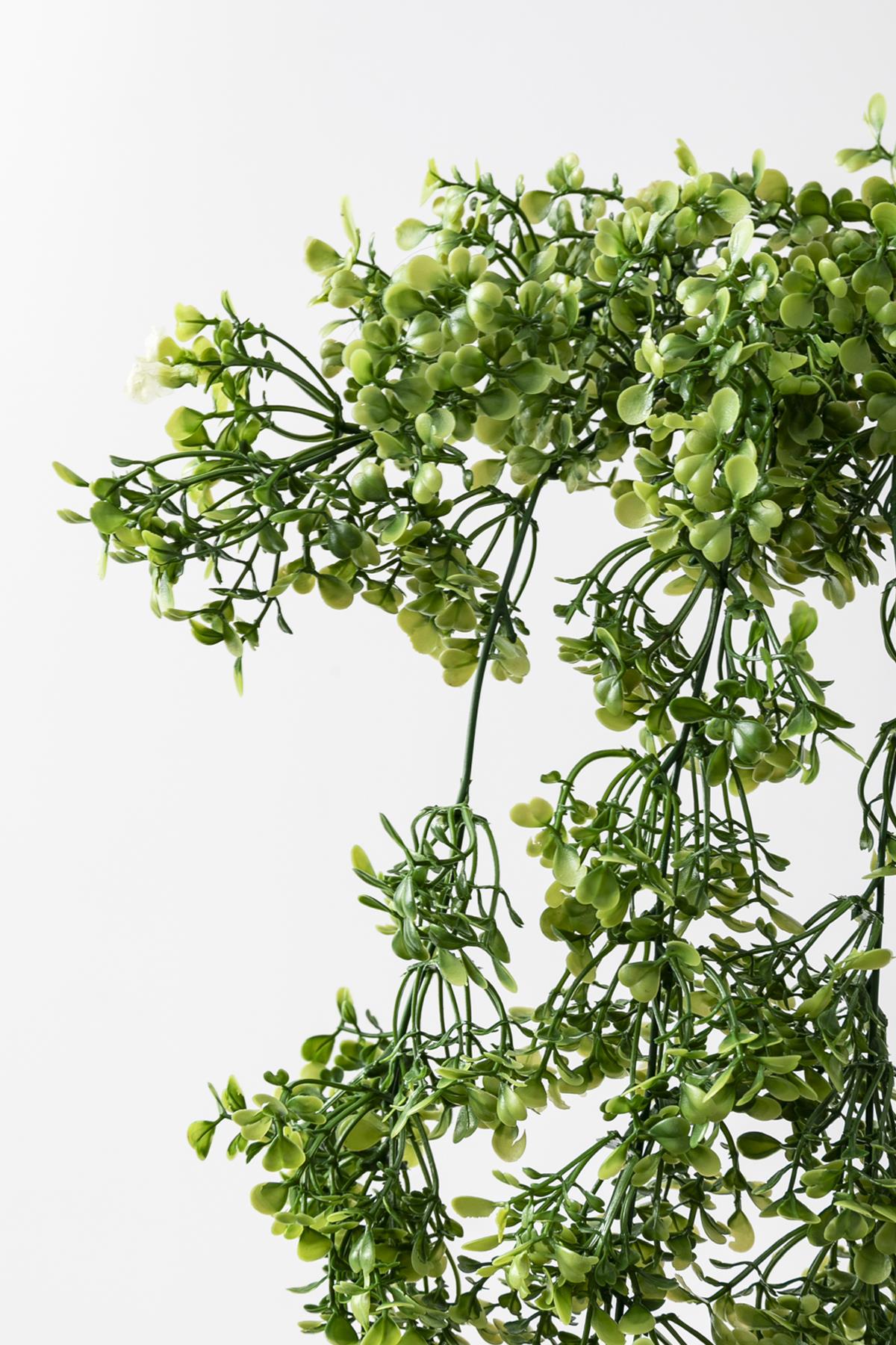 Yapay Şimşir Sarmaşık 75 Cm 5 Dal Uv