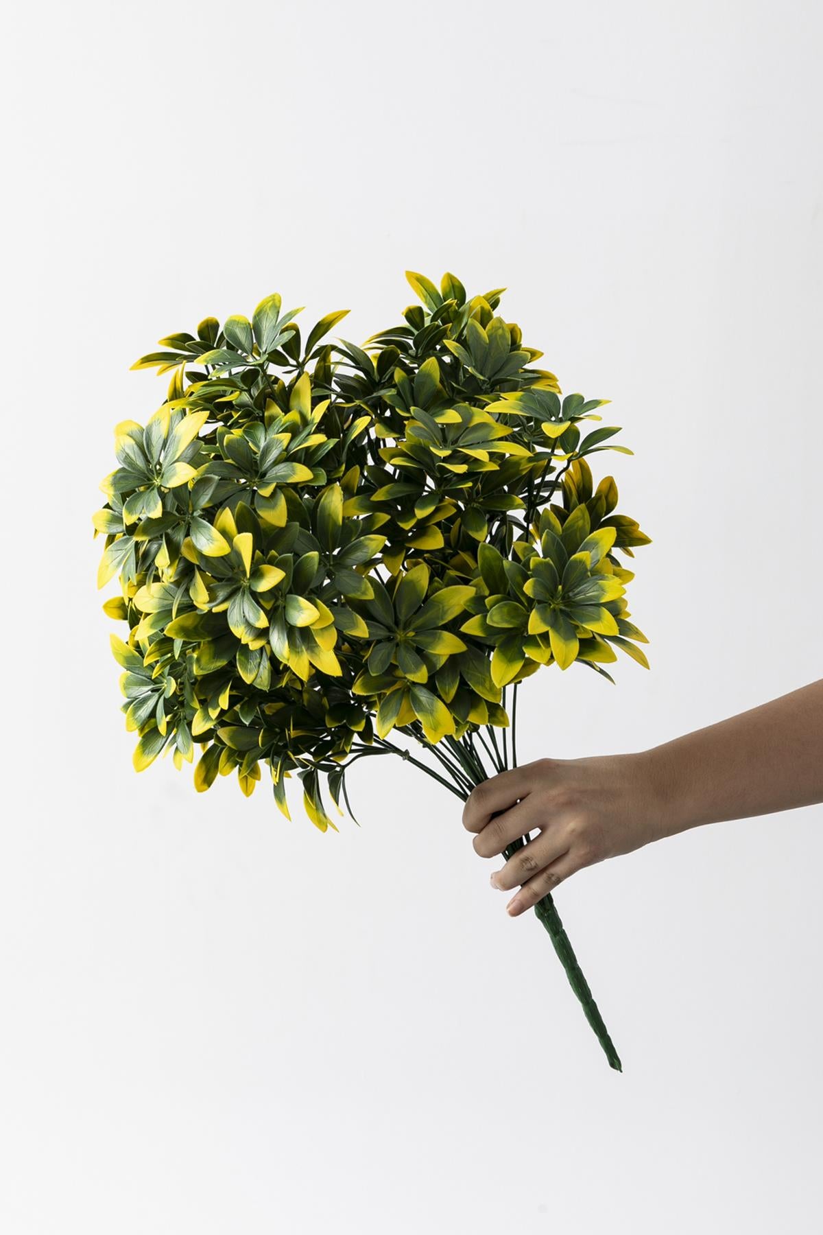 Yapay Şefrole Demeti Sarı Yeşil 60 Cm 24 Dal(Uv)