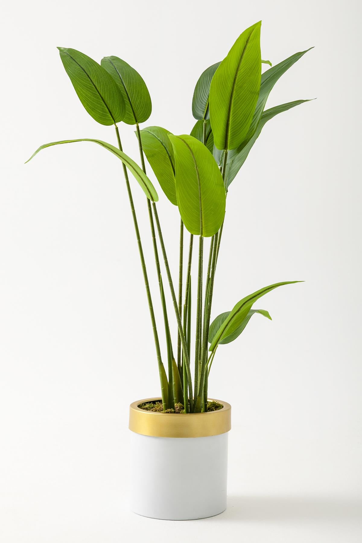 Yapay Starliçe Ağacı 120 Cm Beyaz Gold Saksı