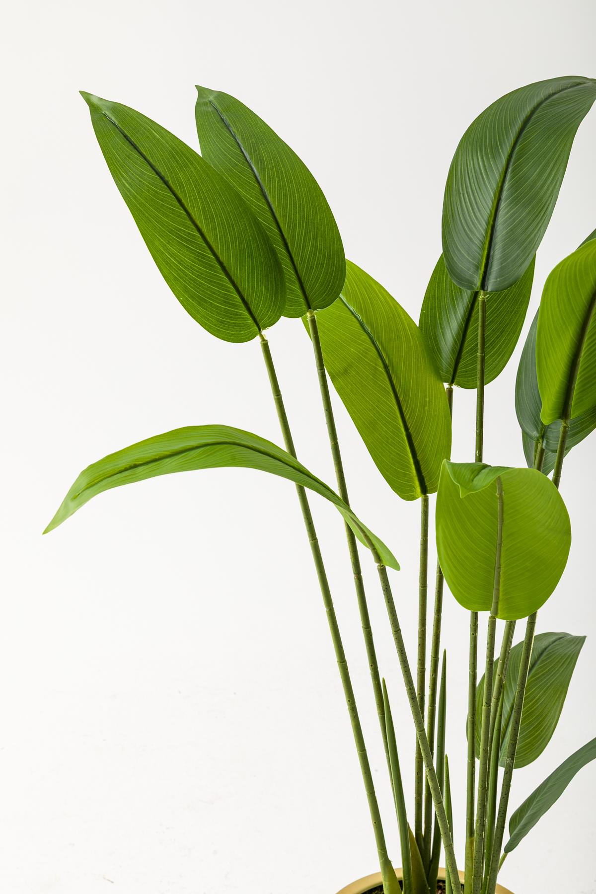 Yapay Starliçe Ağacı 120 Cm Beyaz Gold Saksı