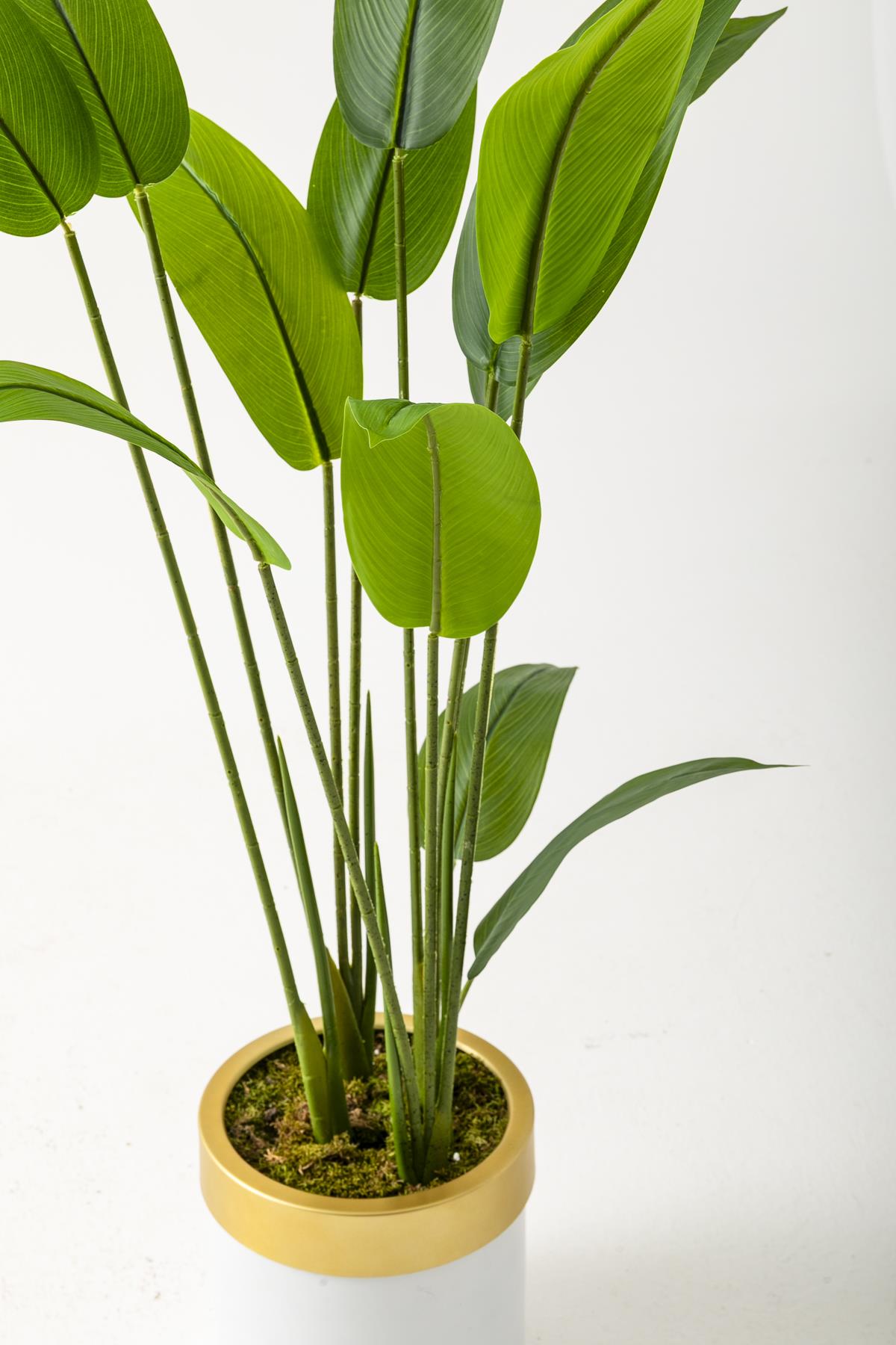 Yapay Starliçe Ağacı 120 Cm Beyaz Gold Saksı