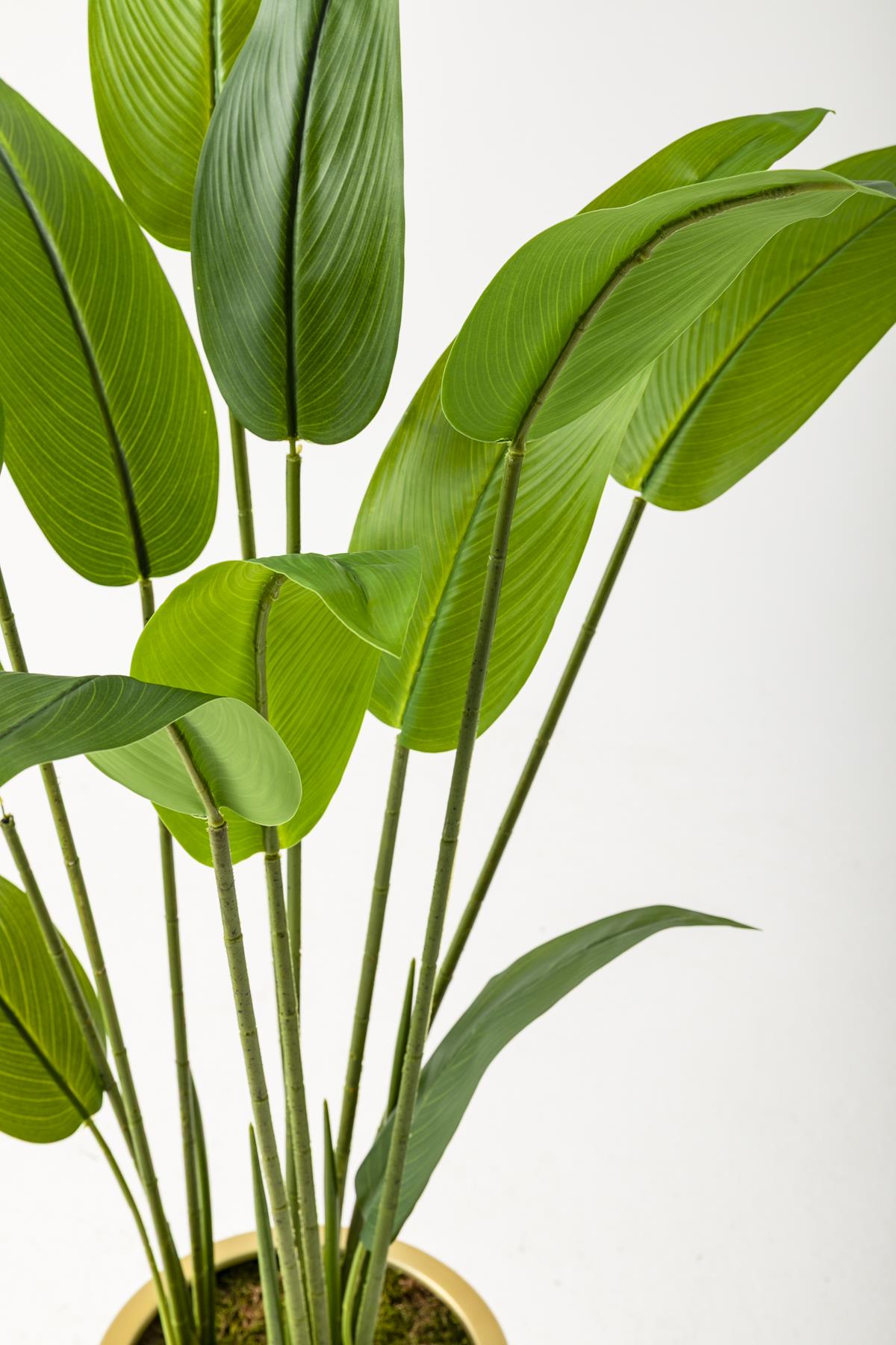 Yapay Starliçe Ağacı 120 Cm Krem Gold Saksı