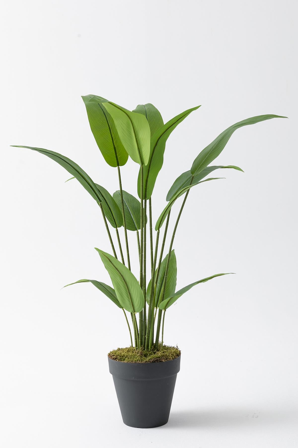 Yapay Starliçe Ağacı 120 Cm Plastik Saksı