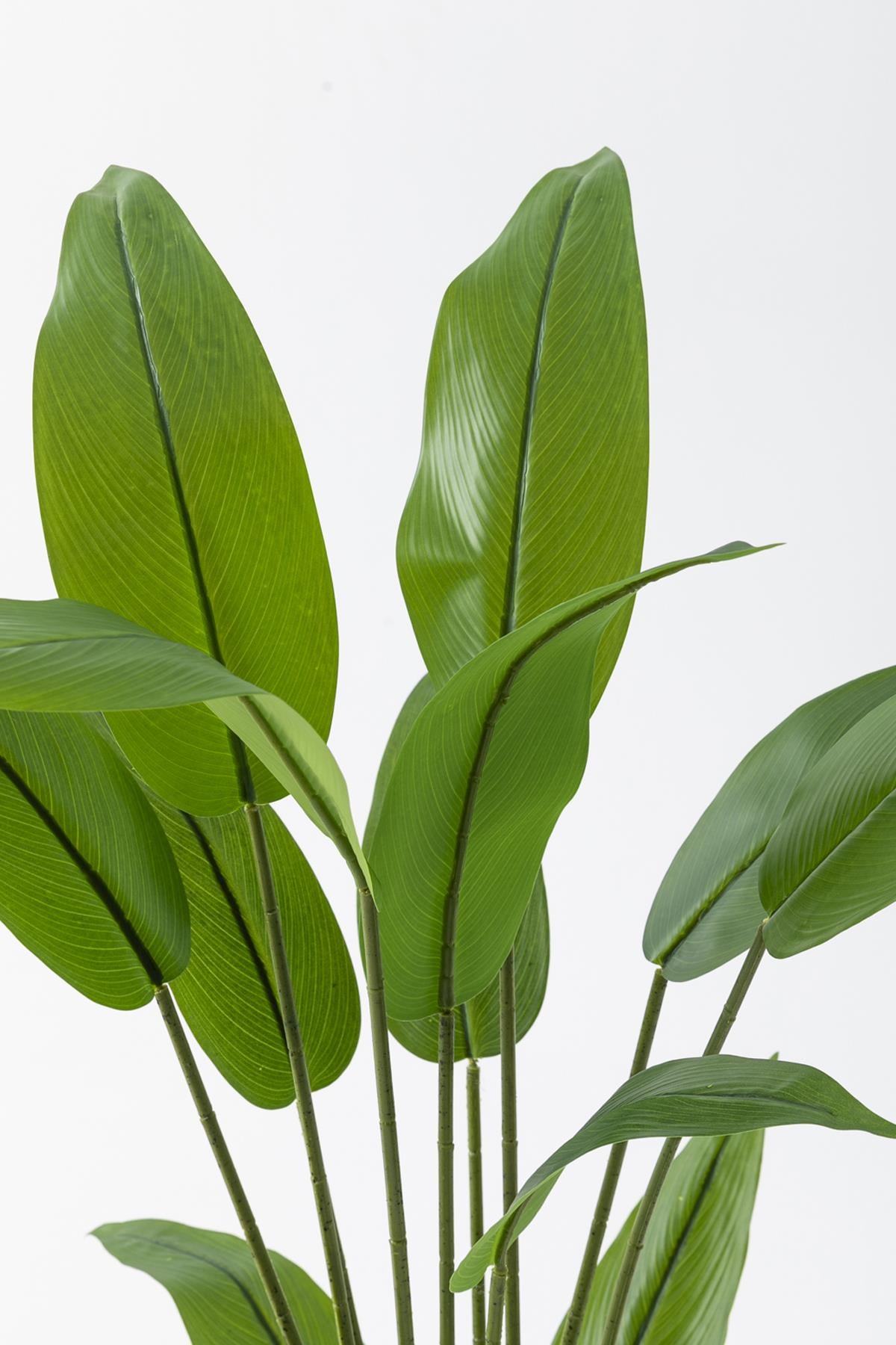 Yapay Starliçe Ağacı 120 Cm Plastik Saksı