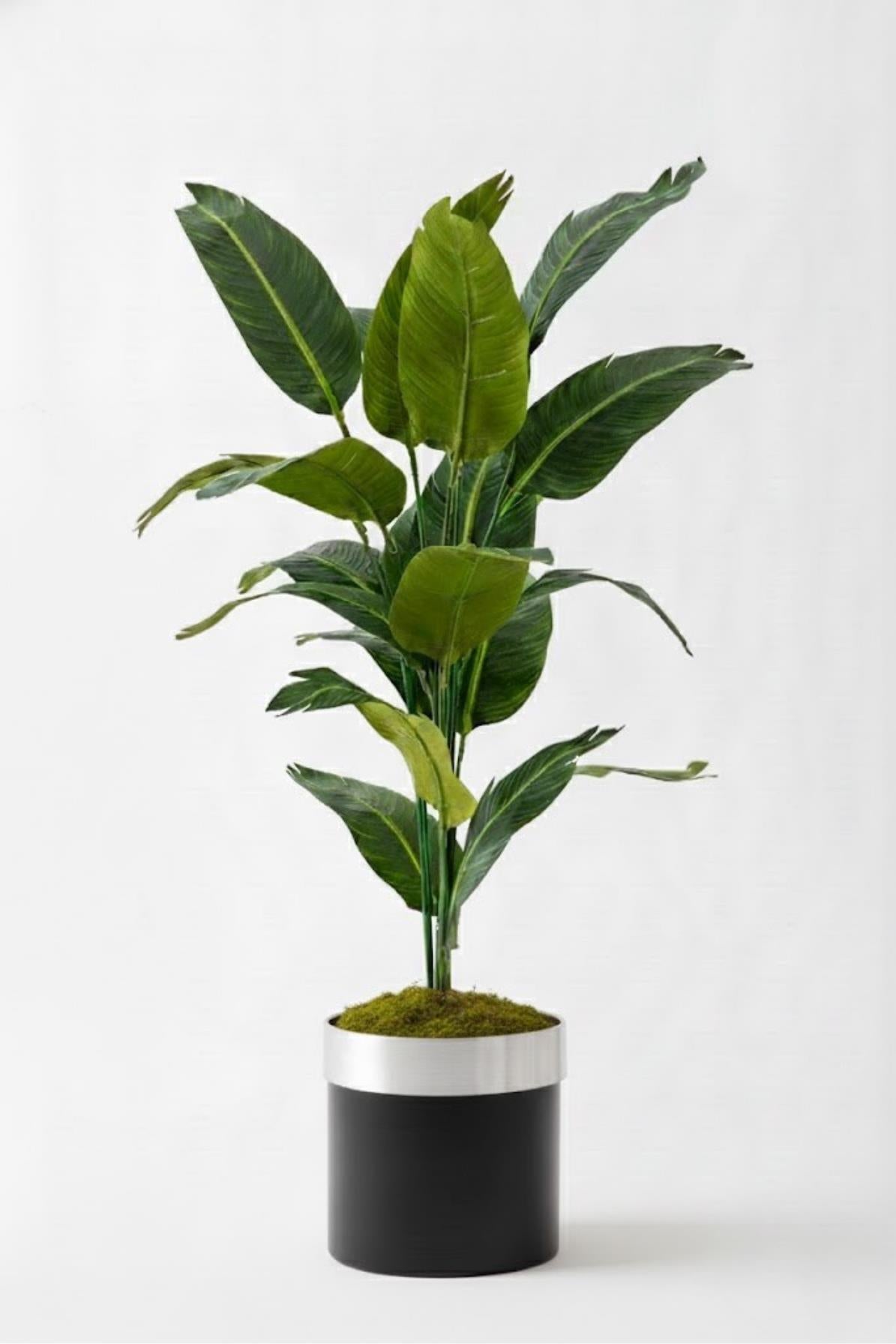 Yapay Starliçe Ağacı 130 Cm Siyah Gümüş Saksı