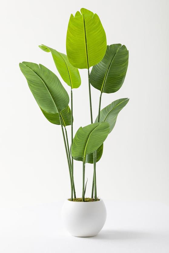 Yapay Starliçe Ağacı 140 Cm Geniş Yapraklı Plastik Küre Saksı