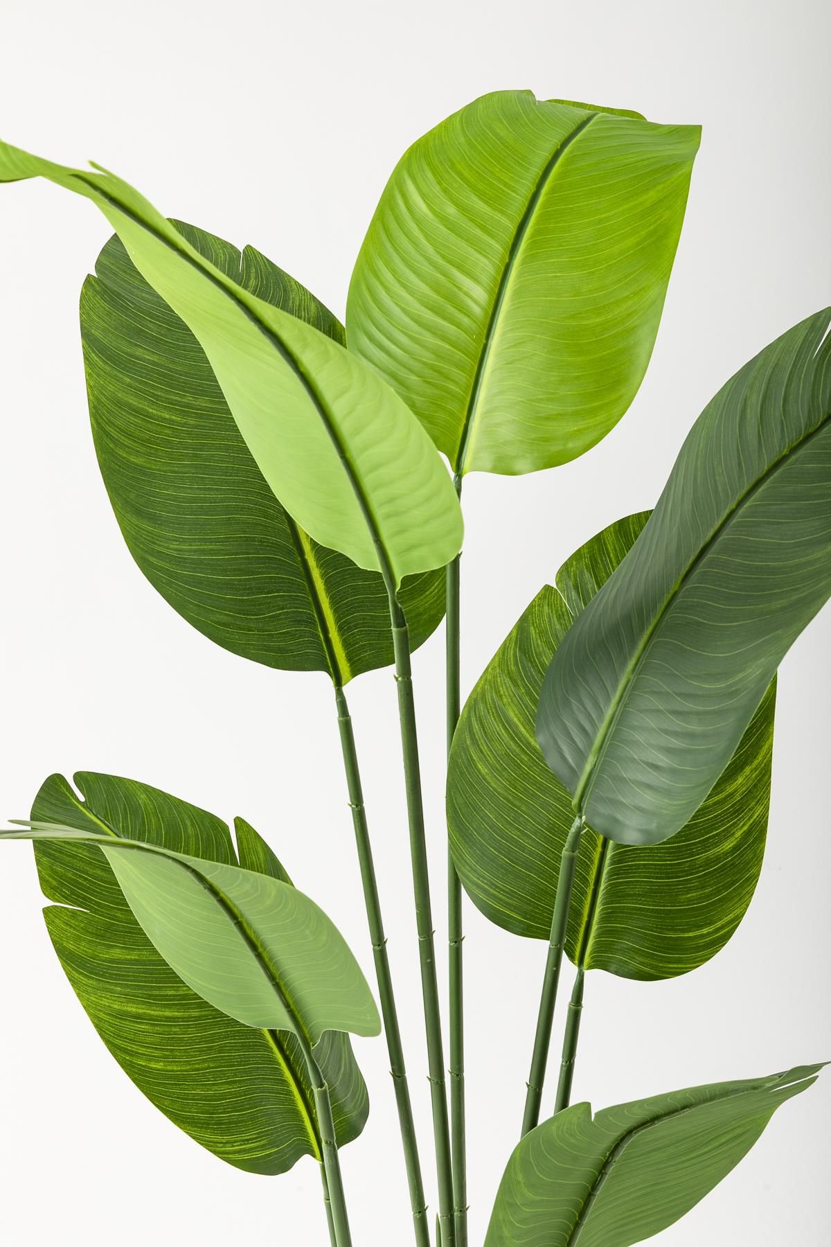 Yapay Starliçe Ağacı 140 Cm Geniş Yapraklı Siyah Metal Saksı