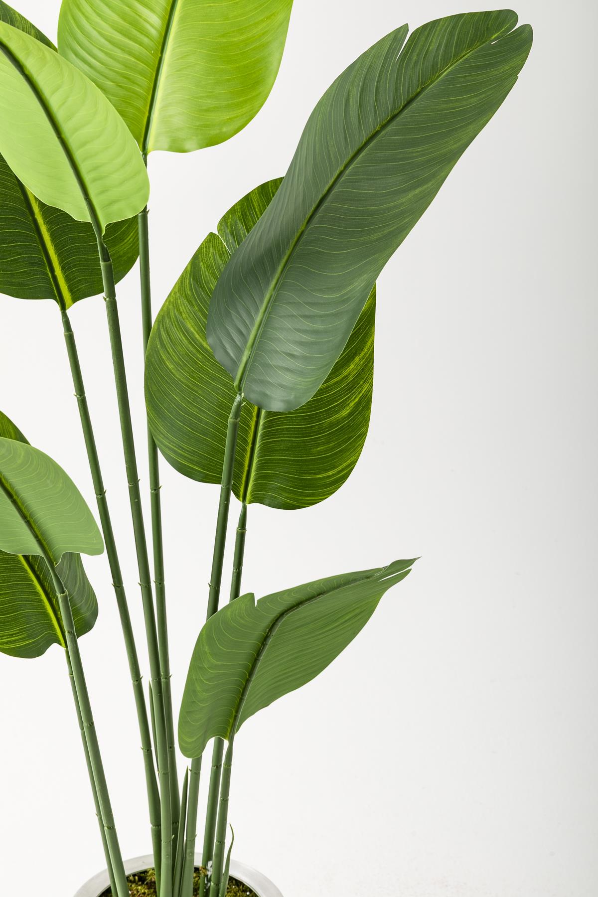 Yapay Starliçe Ağacı 140 Cm Geniş Yapraklı Siyah Metal Saksı