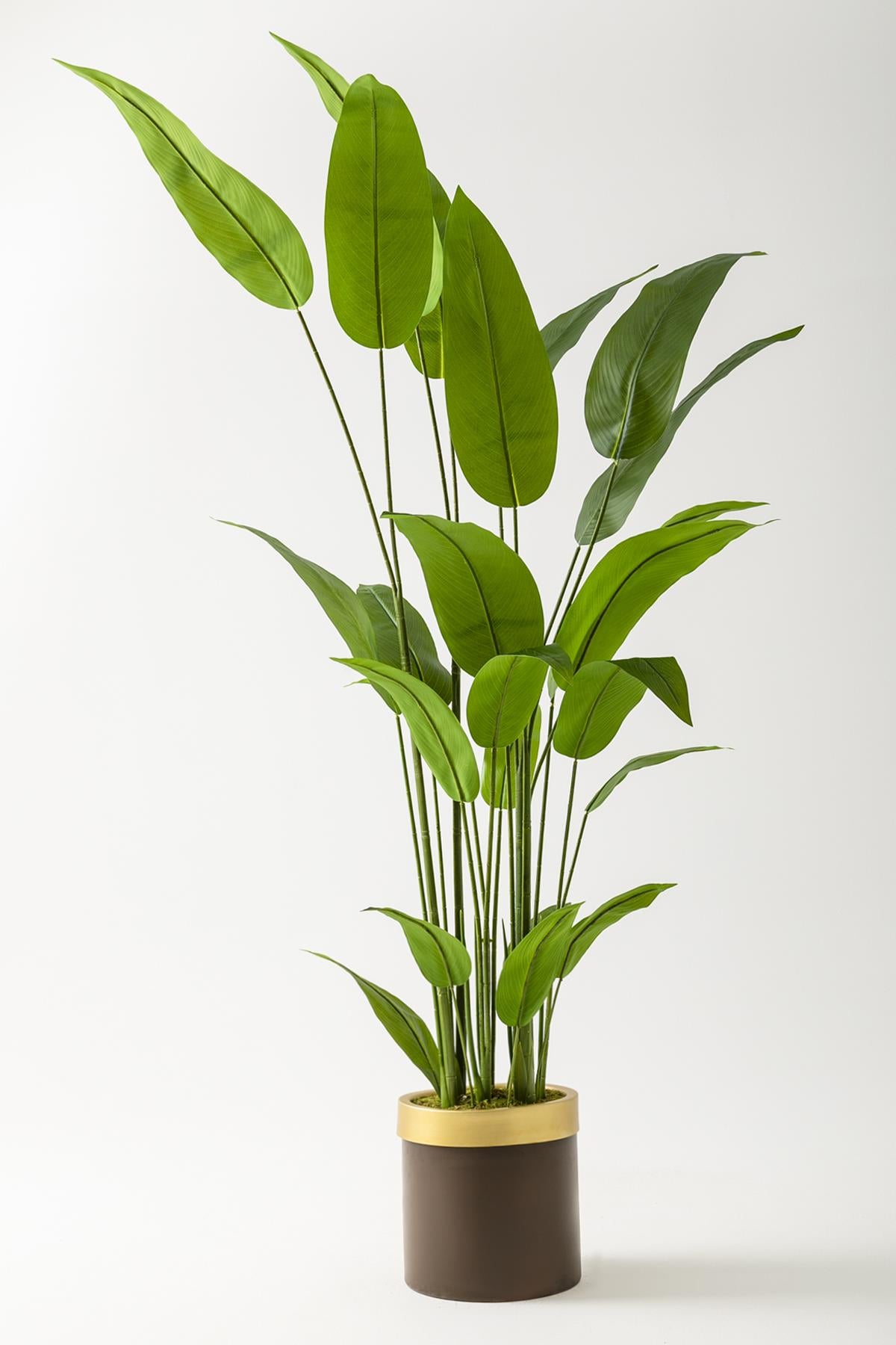 Yapay Starliçe Ağacı 160 Cm Kahverengi Gold Saksı