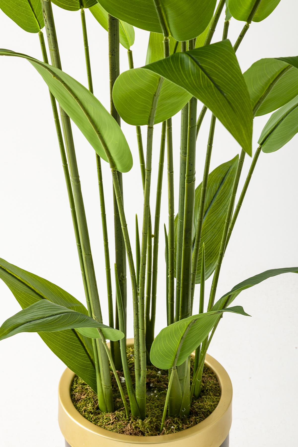 Yapay Starliçe Ağacı 160 Cm Kahverengi Gold Saksı