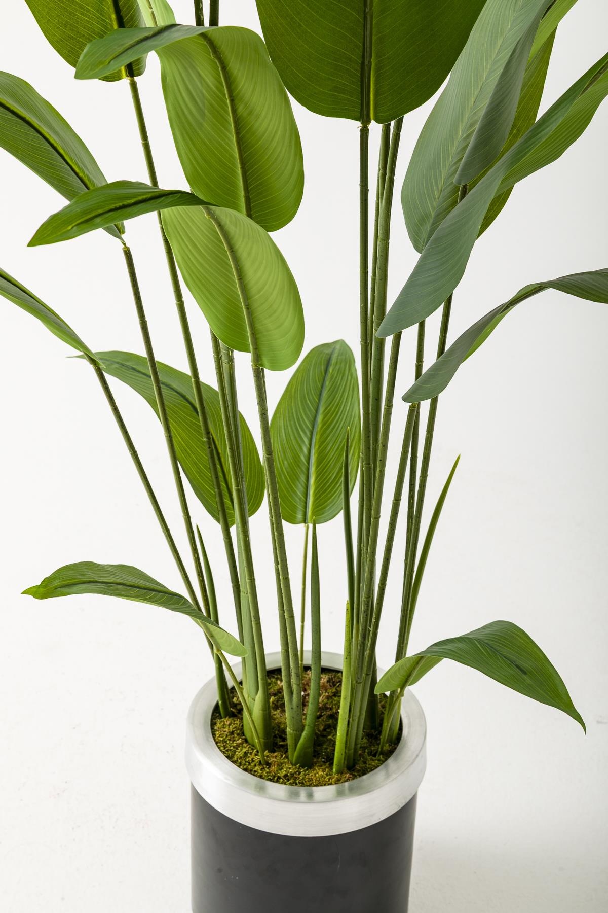 Yapay Starliçe Ağacı 160 Cm Siyah Gümüş Metal Saksı