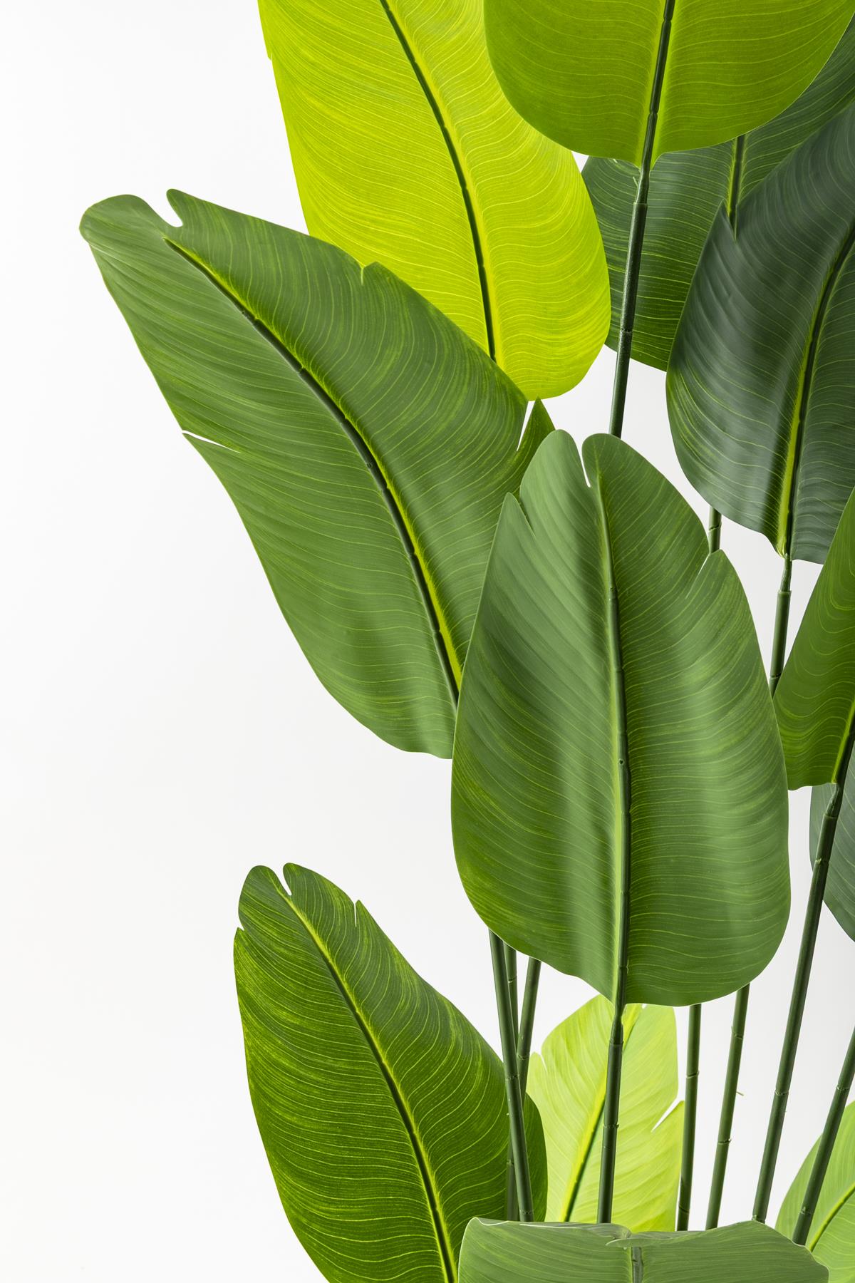 Yapay Starliçe Ağacı 180 Cm Geniş Yapraklı Gold Metal Saksı