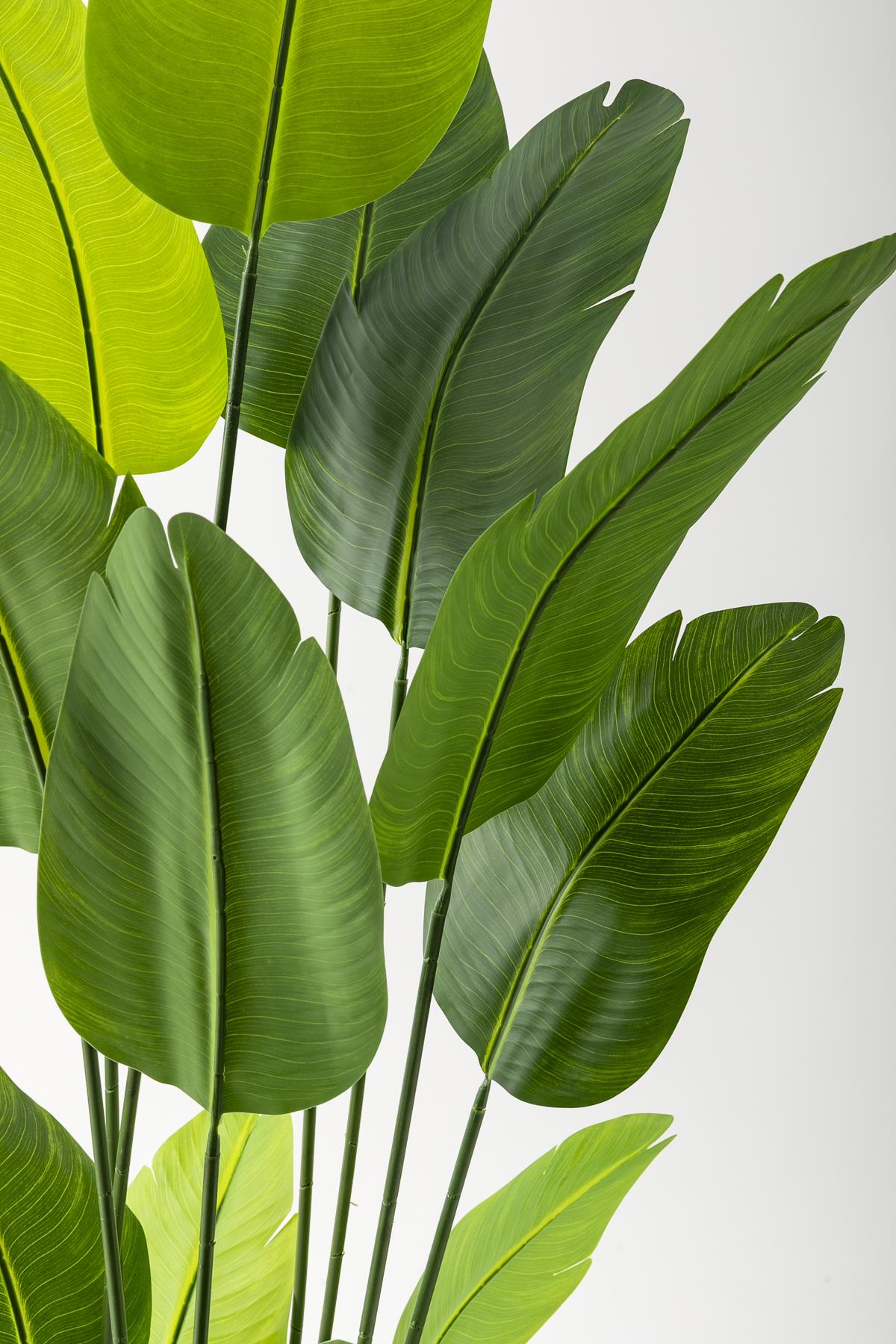 Yapay Starliçe Ağacı 180 Cm Geniş Yapraklı Gold Metal Saksı