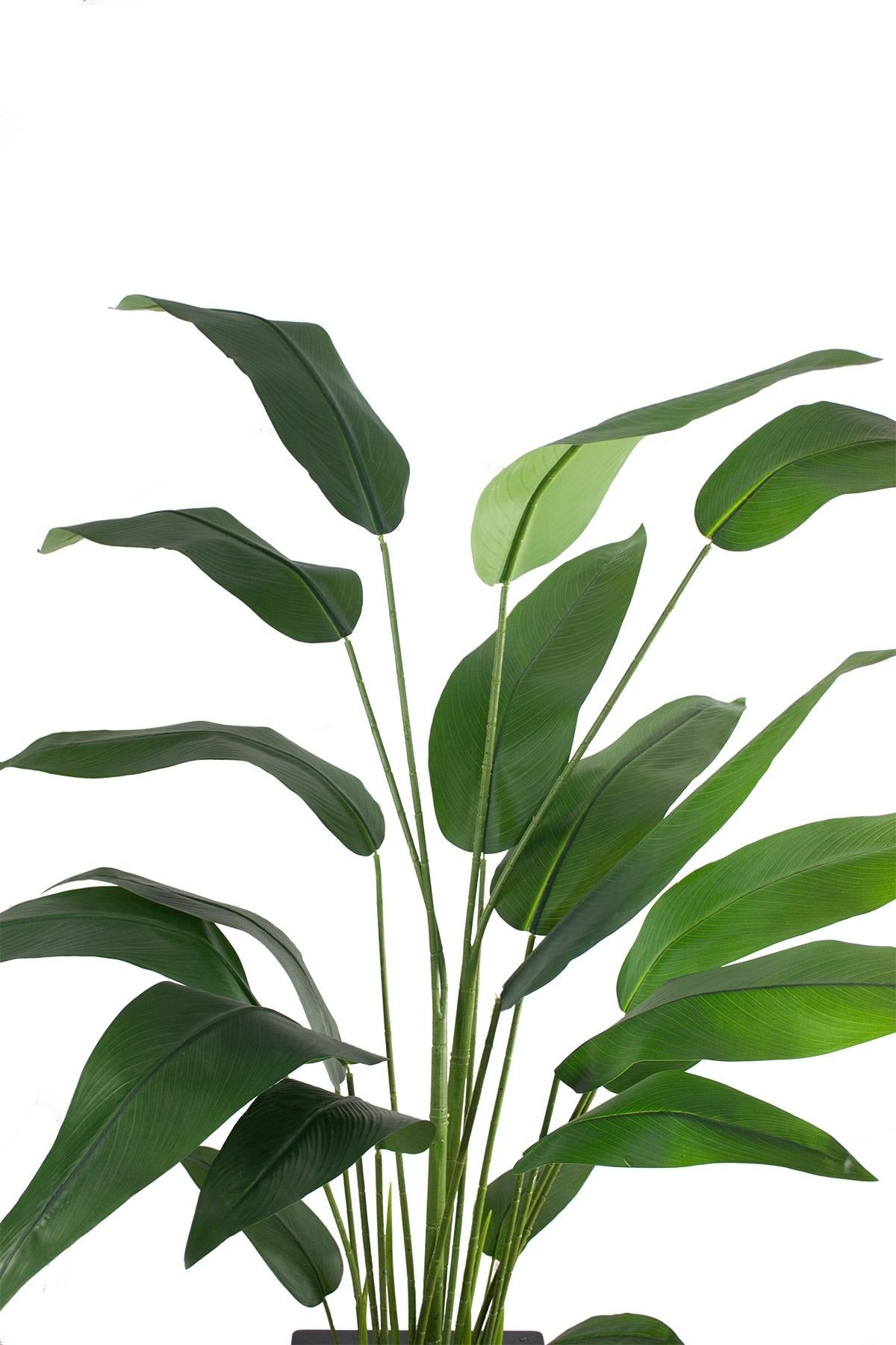 Yapay Starliçe Ağacı 185 cm Ahşap Saksı