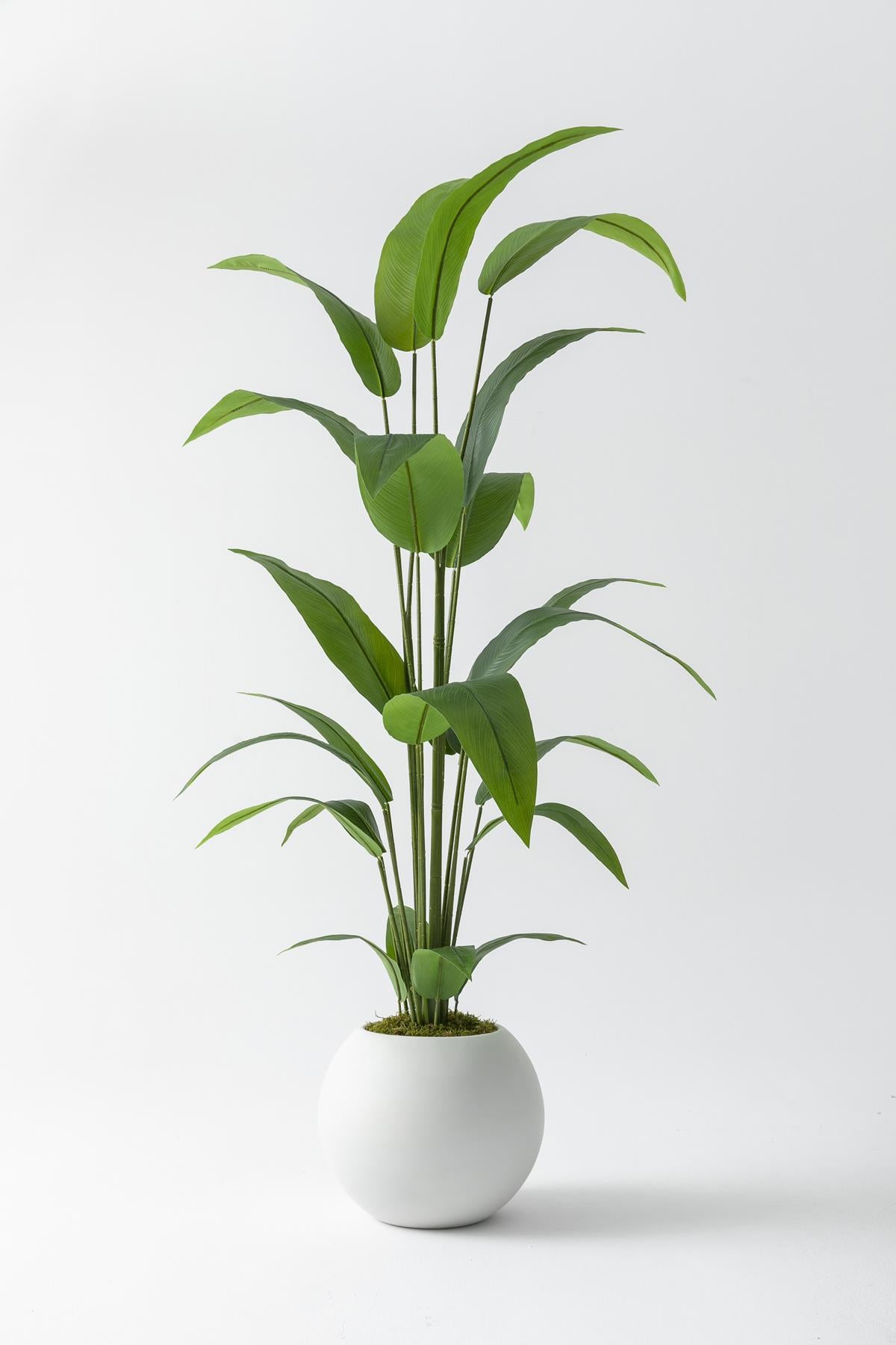 Yapay Starliçe Ağacı 200 Cm Fiber Saksılı