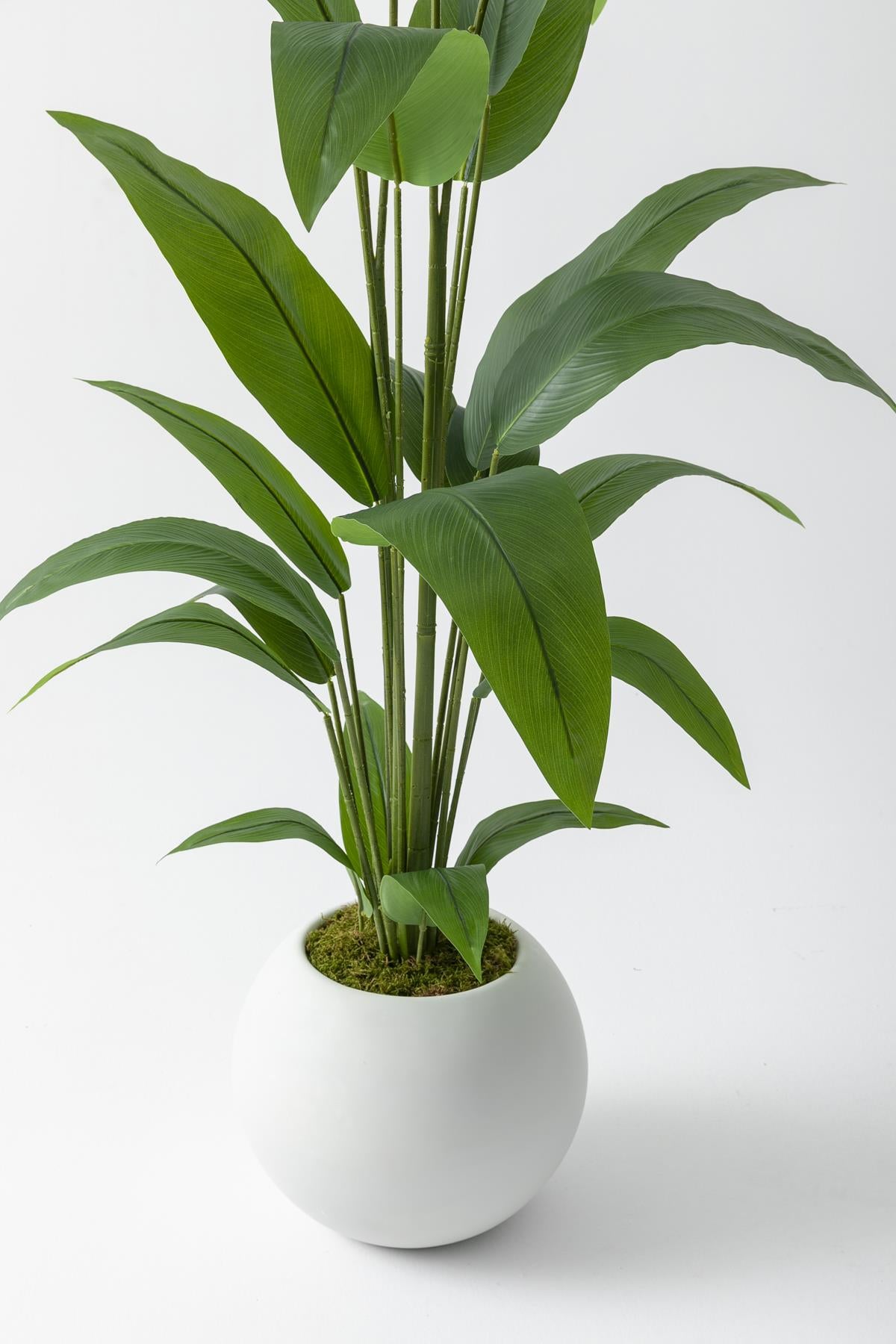 Yapay Starliçe Ağacı 200 Cm Fiber Saksılı