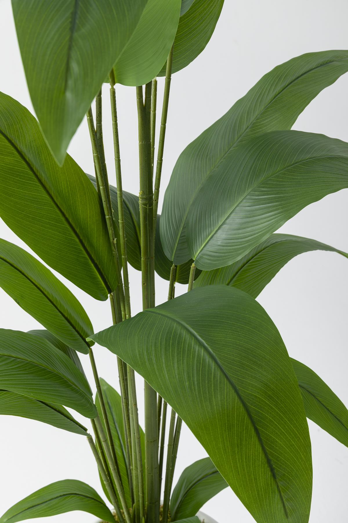 Yapay Starliçe Ağacı 200 Cm Fiber Saksılı