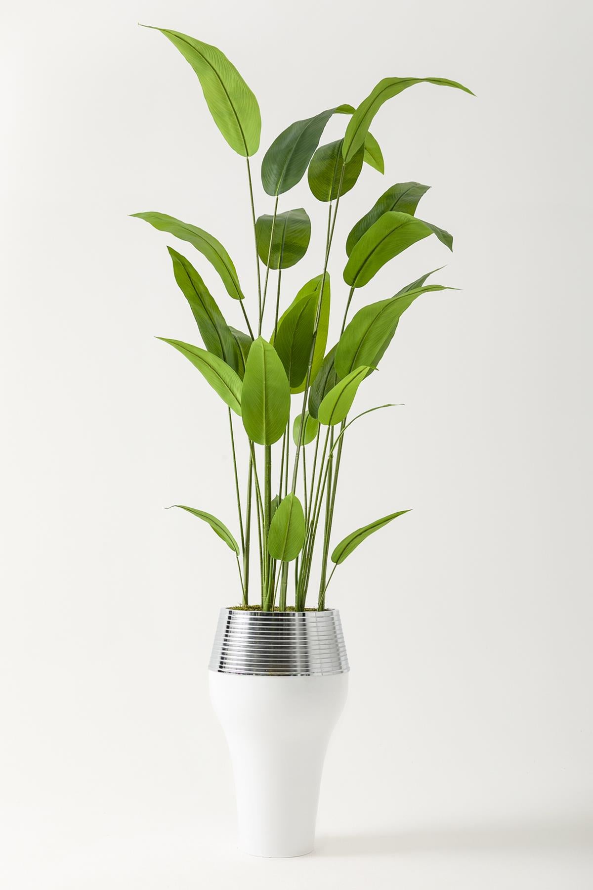 Yapay Starliçe Ağacı 230 Cm Beyaz Gümüş Damla Saksı